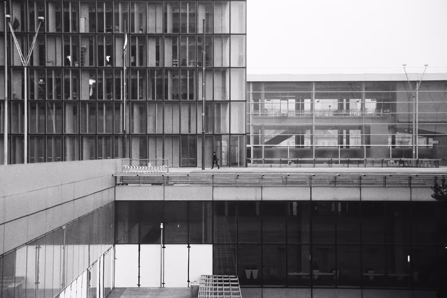 BNF