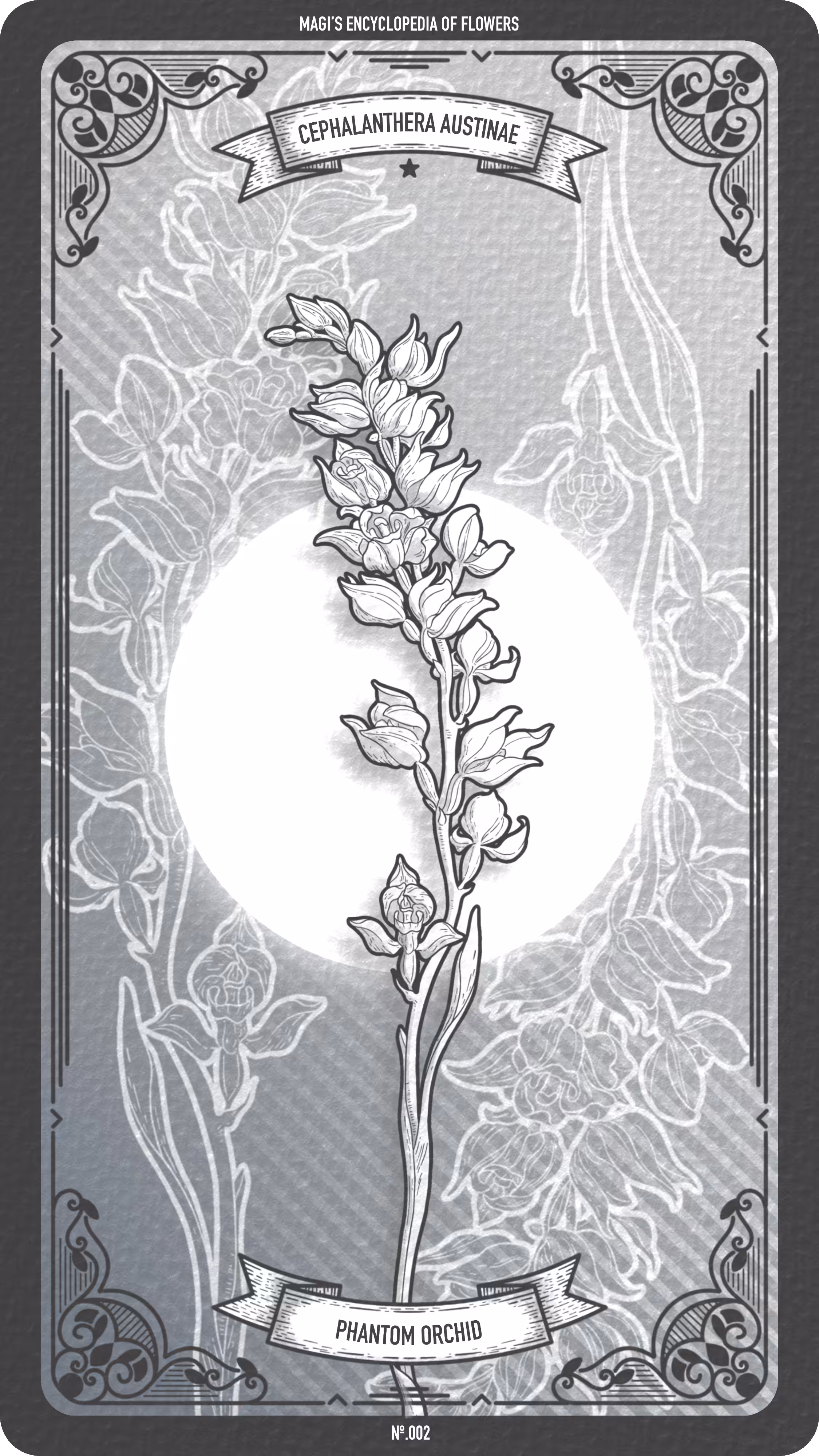 002 Phantom Orchid