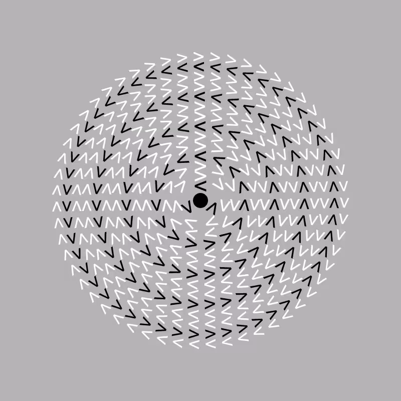 Dizzy Wheel #5