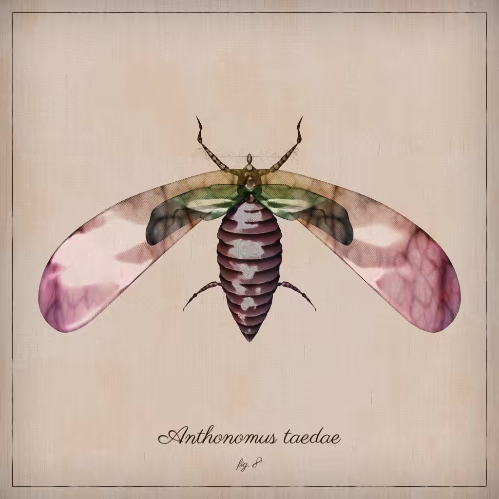 ProcGen Entomology #80