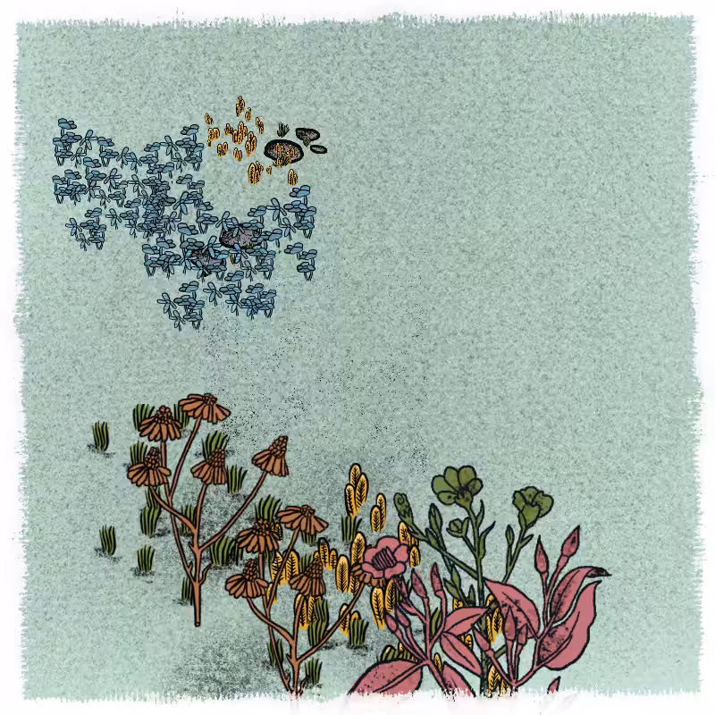 Gardens  #174