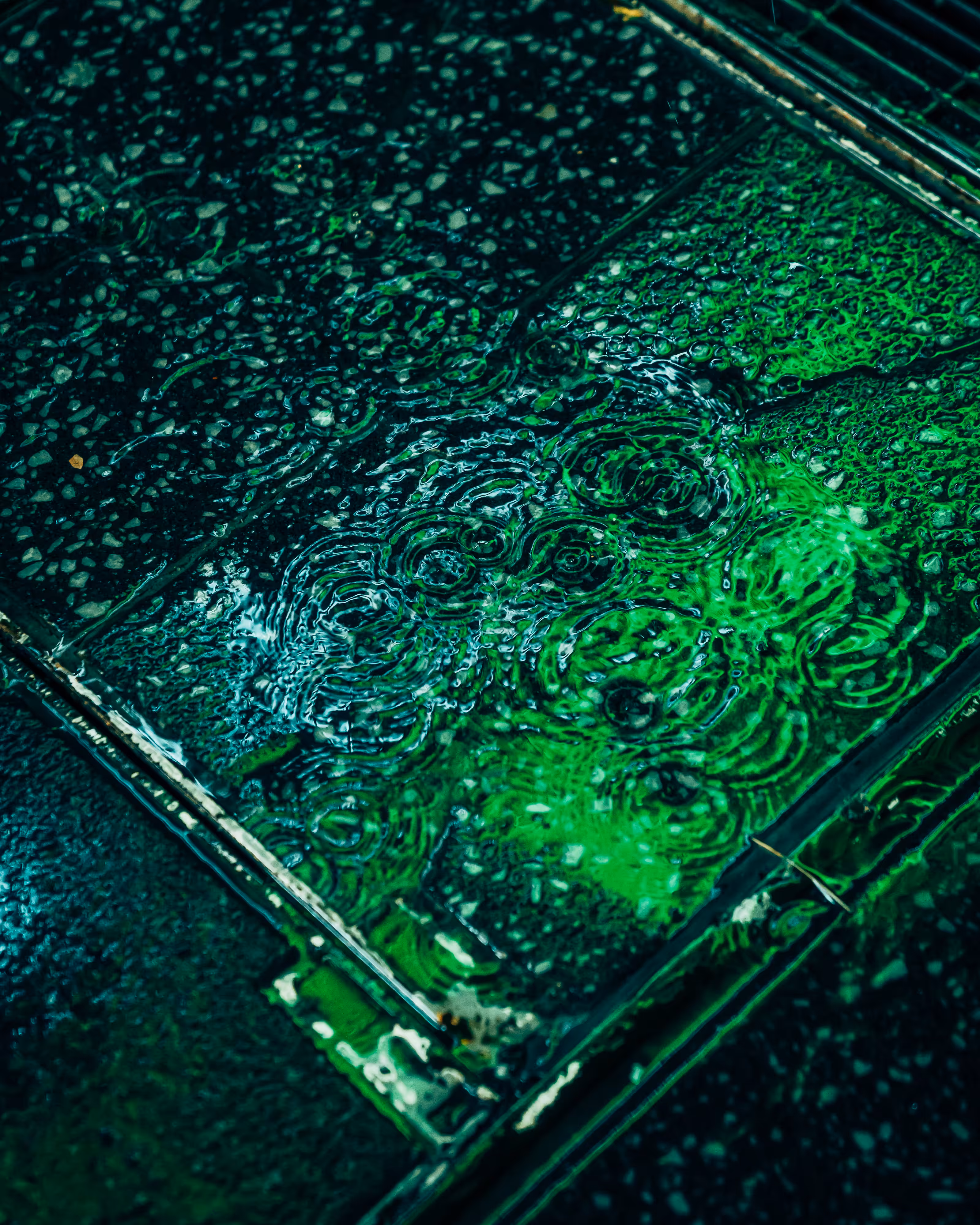 DRIP DROP: DRIP #350