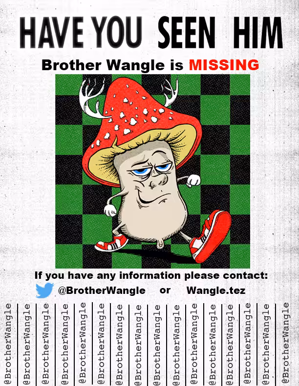 Missing Wangle 34