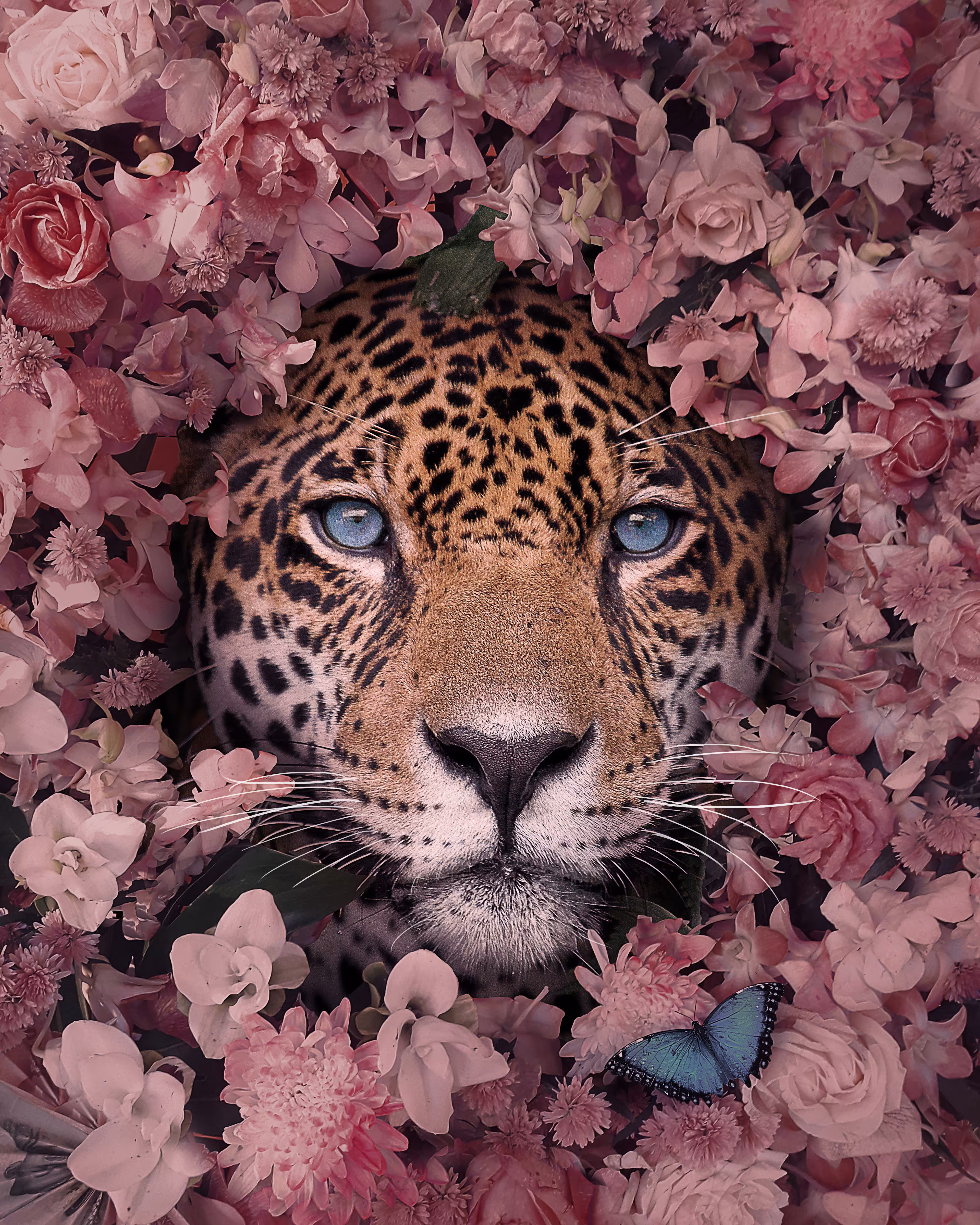 Lovepard