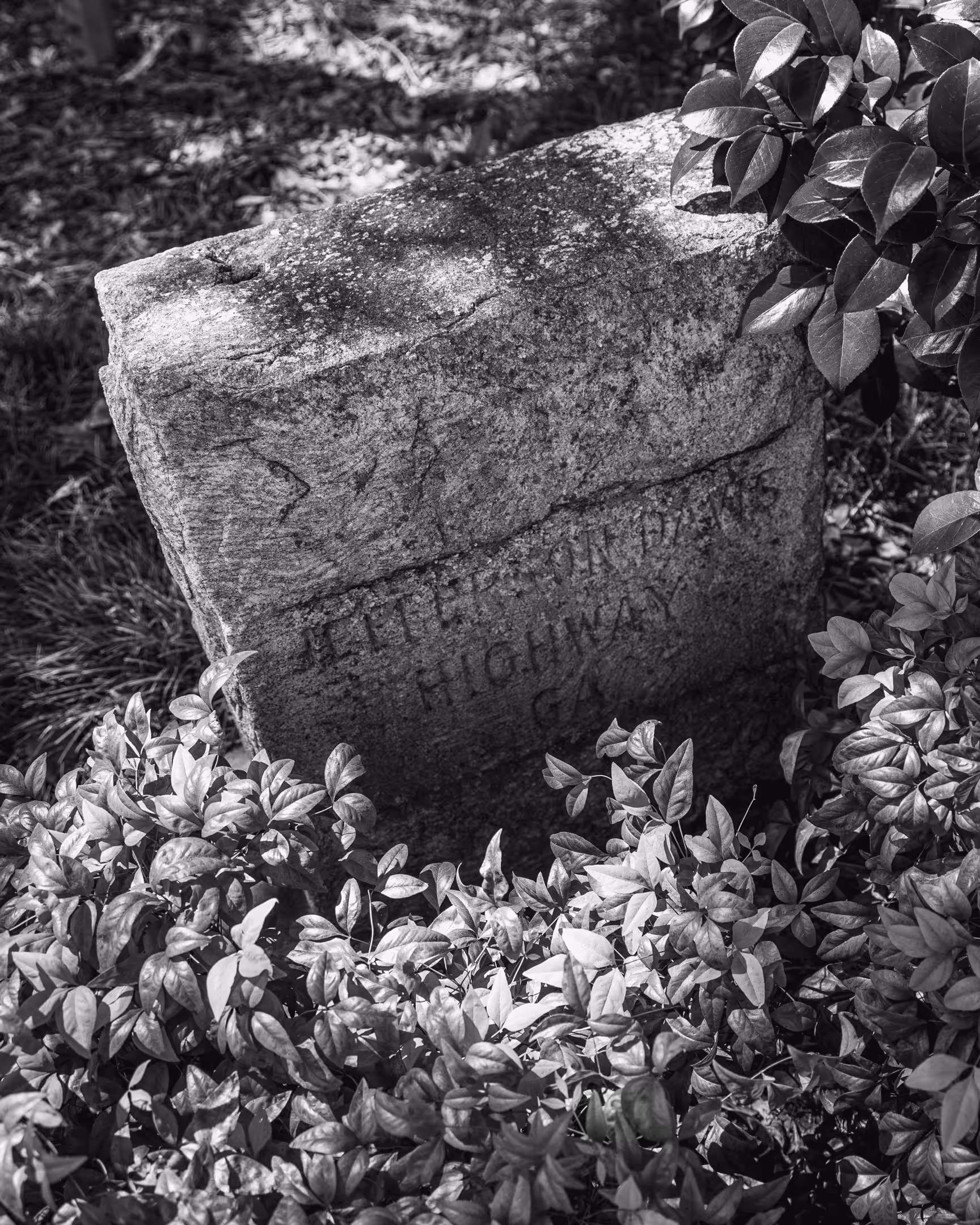 A Southern Horror: Southern Horror #119