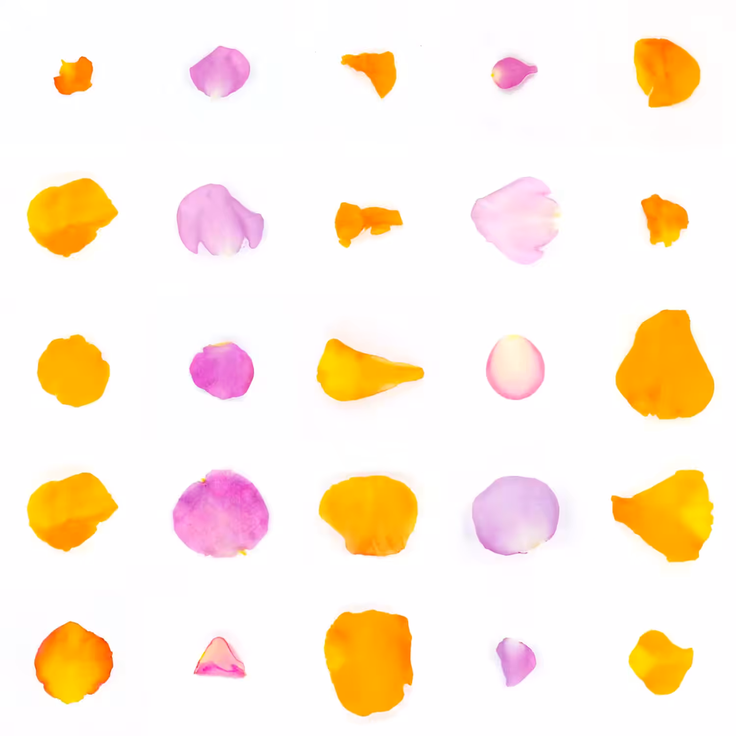 Infinite Petals 5x5#20671