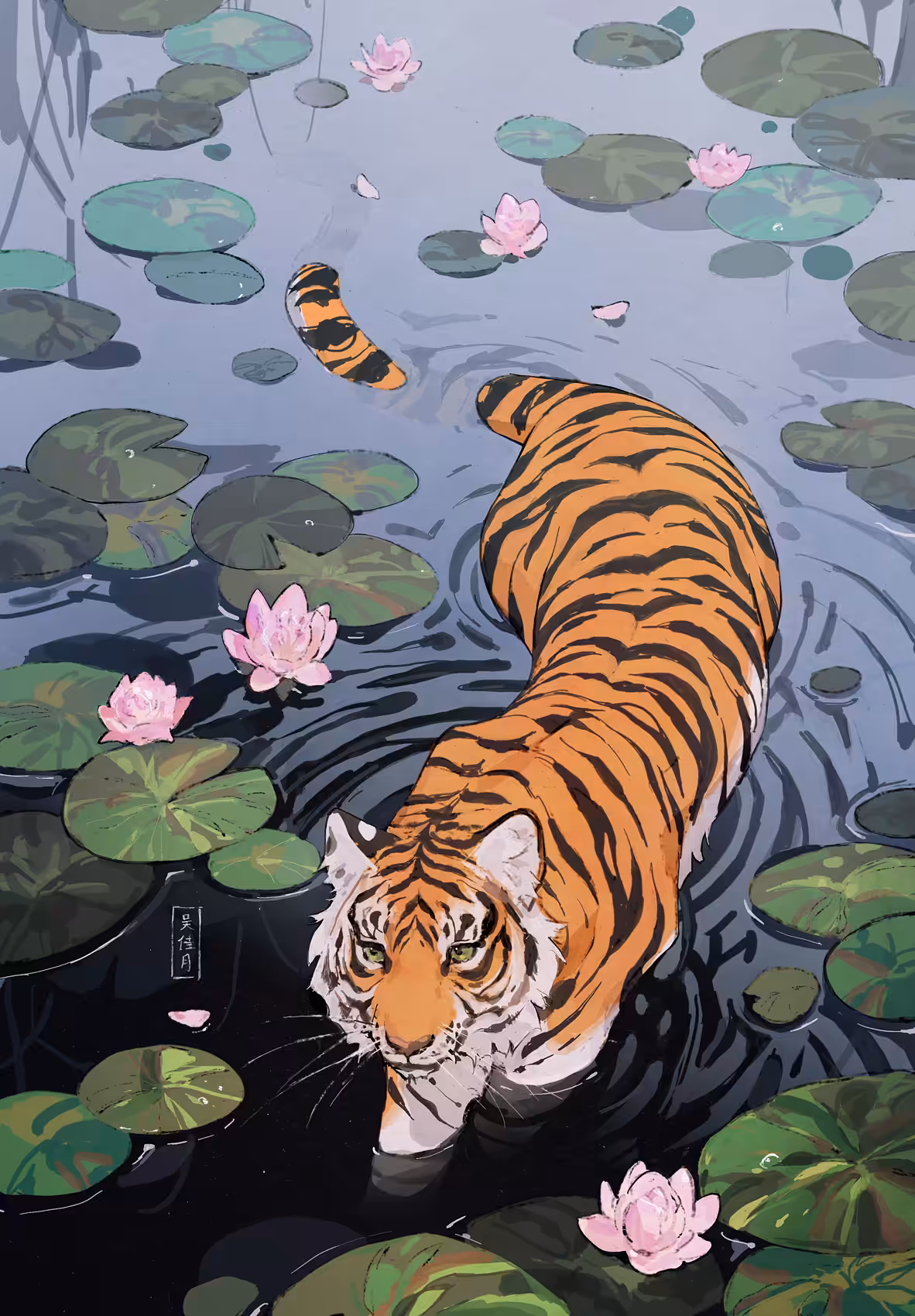 Tiger Lily