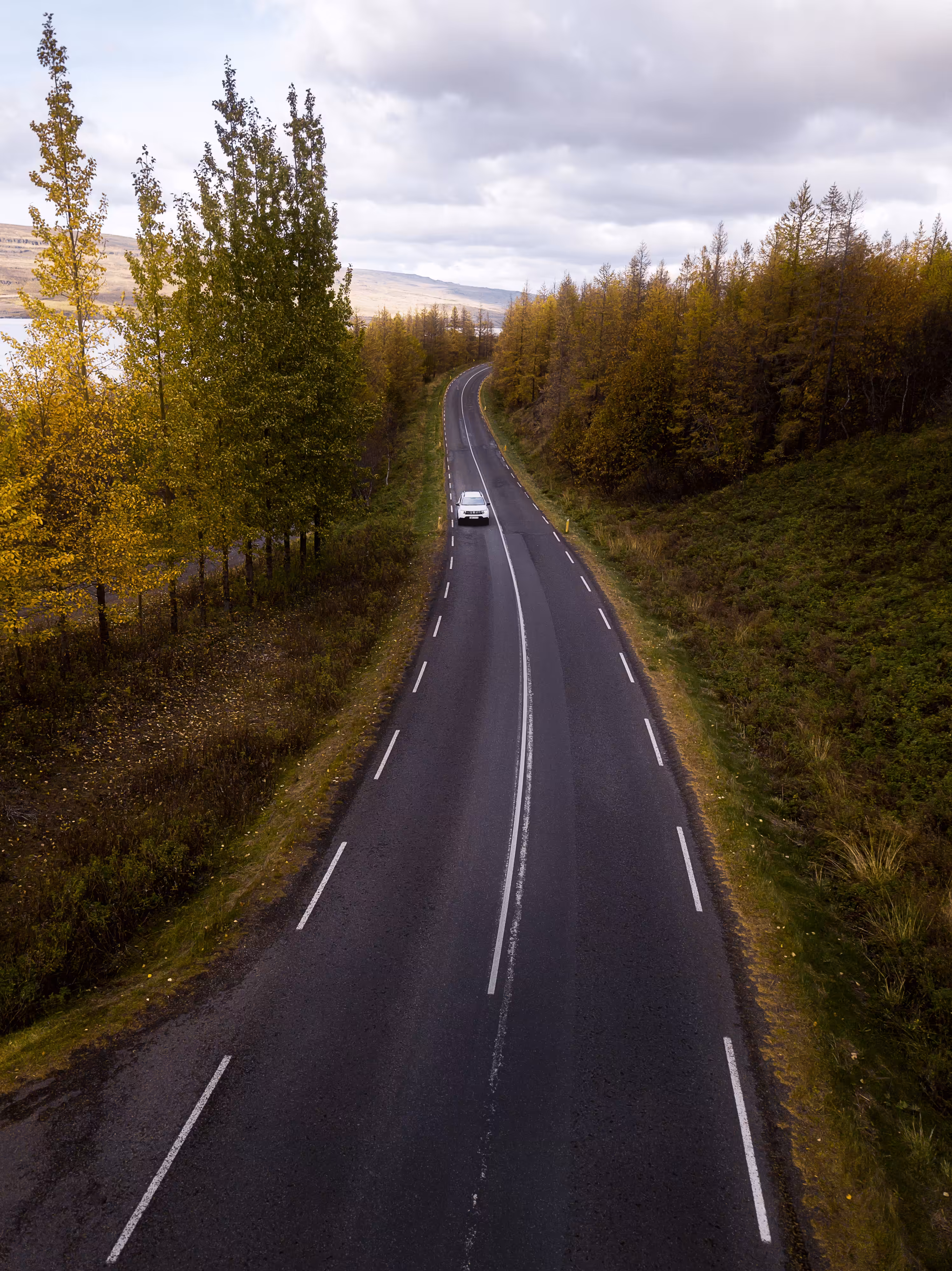 #22 Autumn Drives