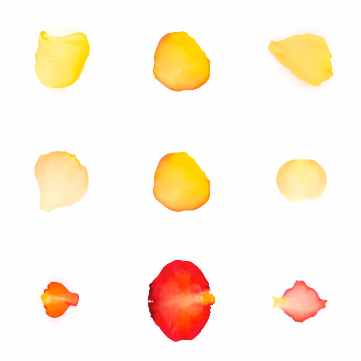 Infinite Petals 3x3#434