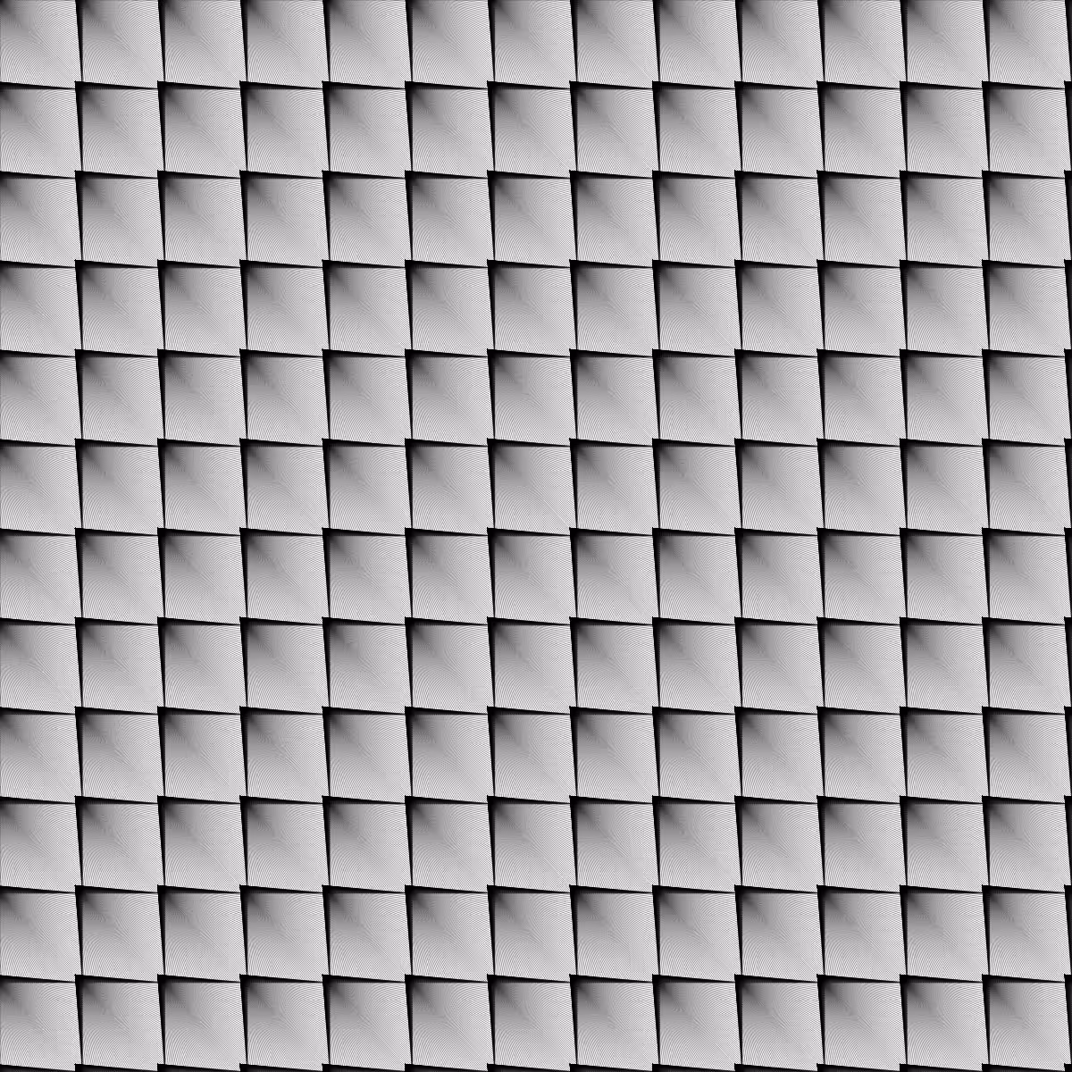 Noir et Blanc #68