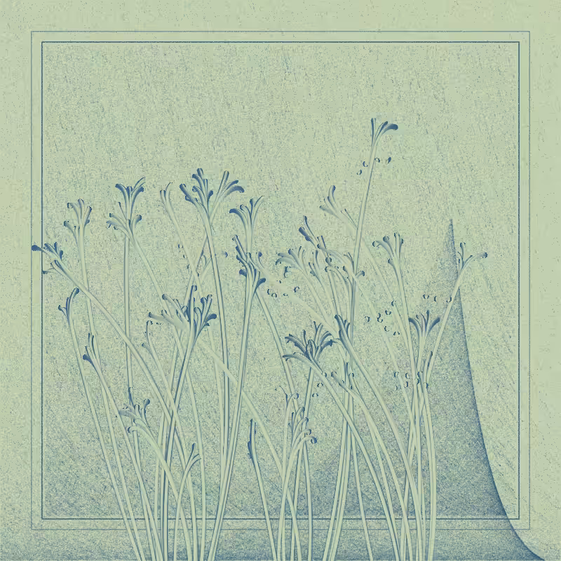 string_pllu #72