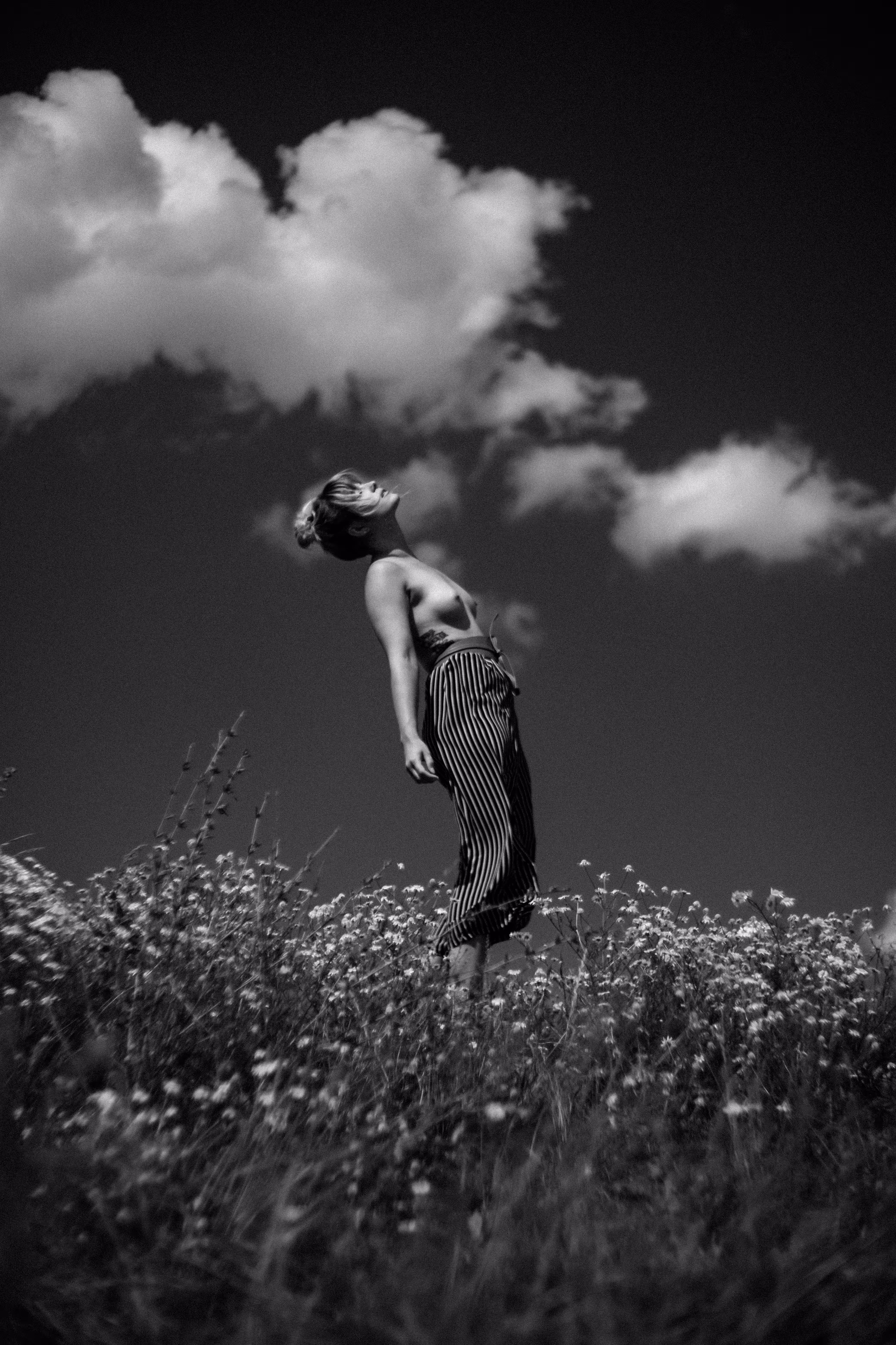 Free