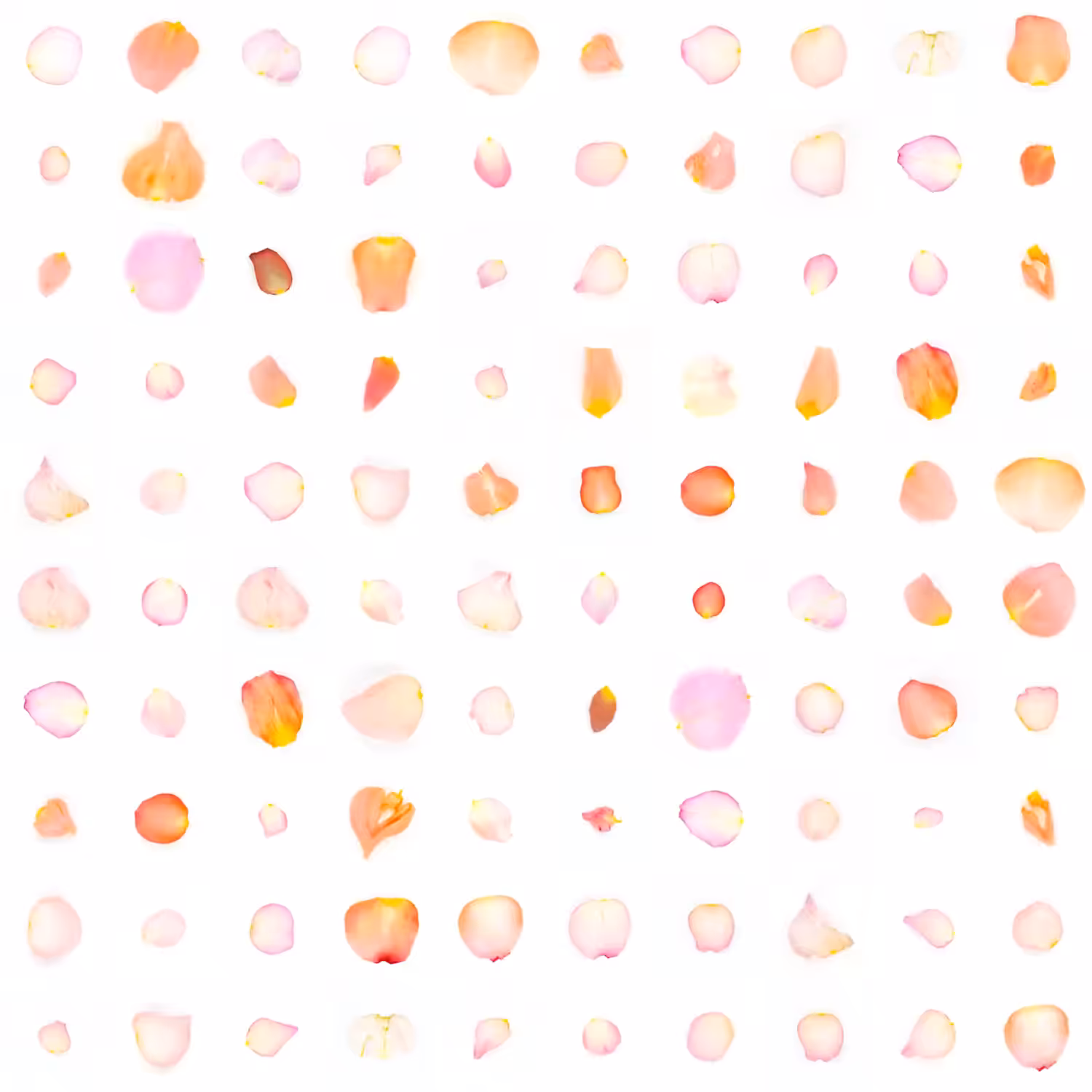 Infinite Petals 10x10#57