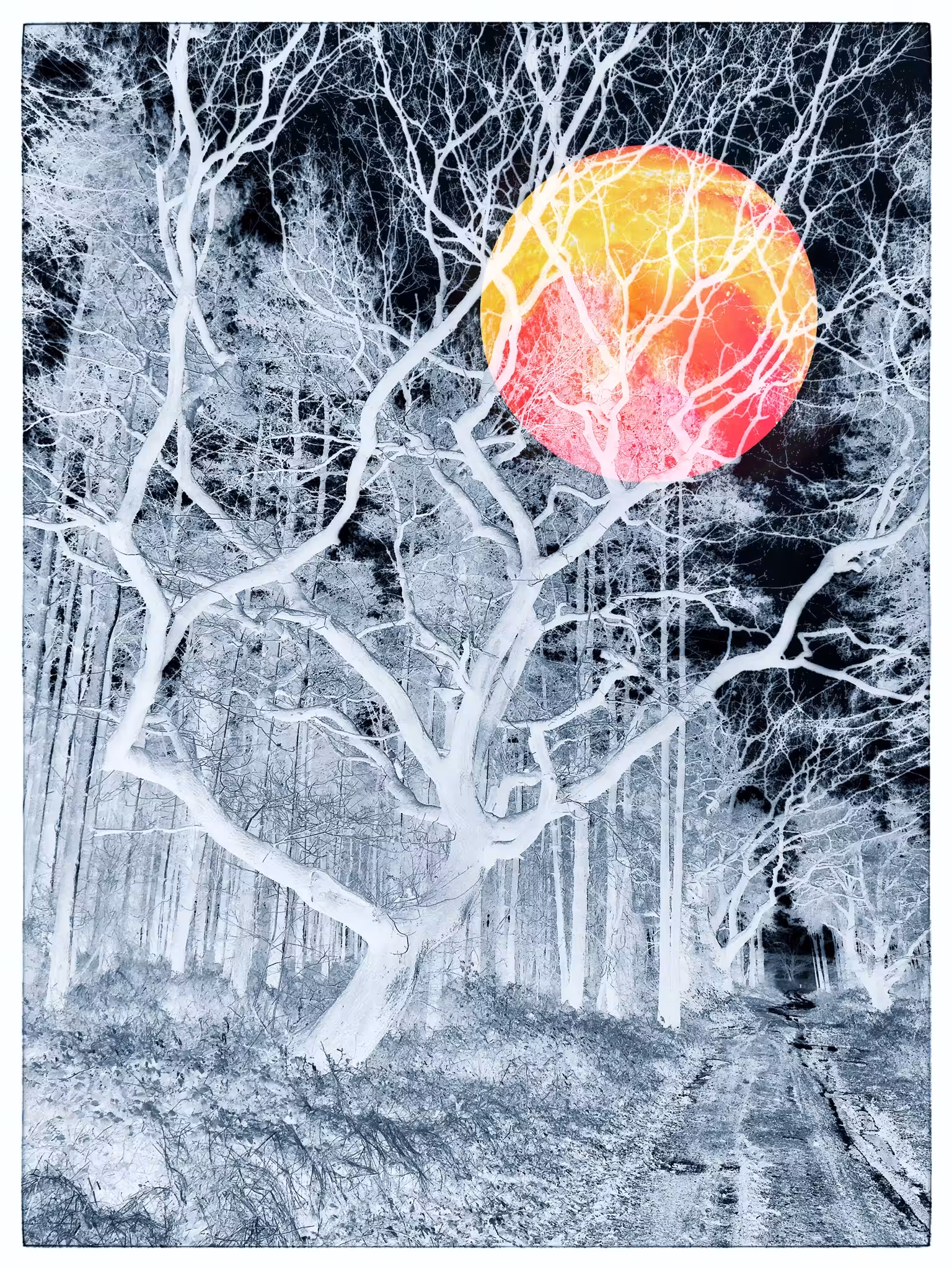 Midwinter