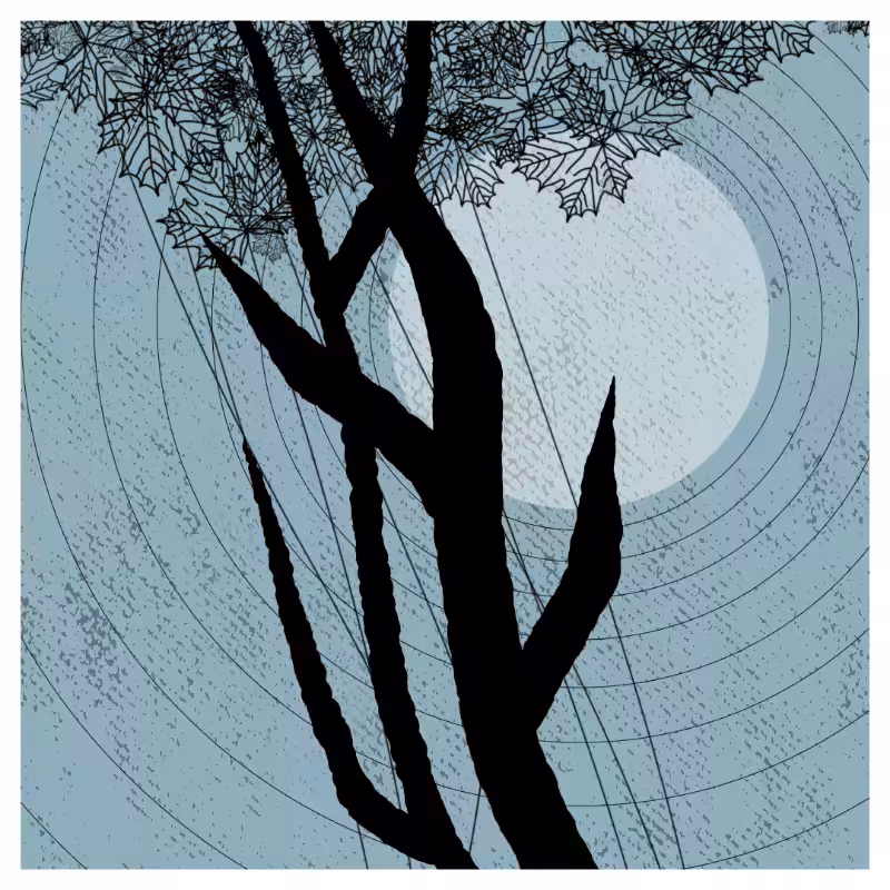 TREE @ SUN #8