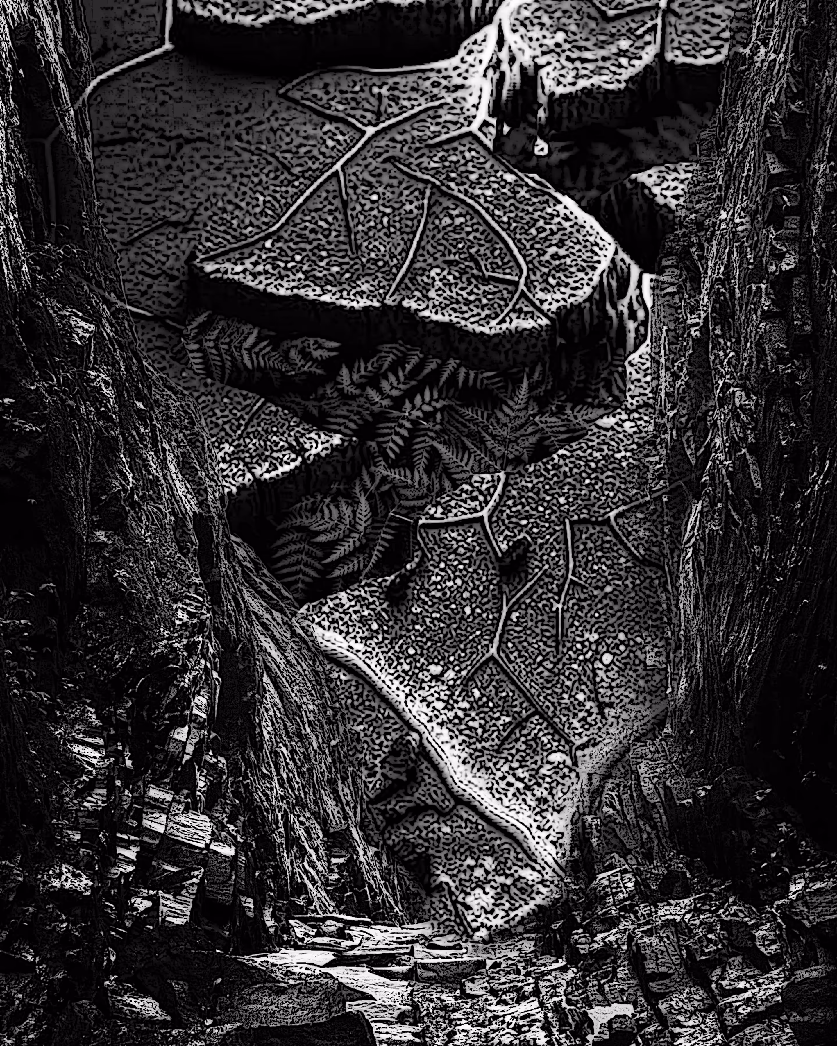 Photo Manipulation Art : Veins of Life Amidst the Stone