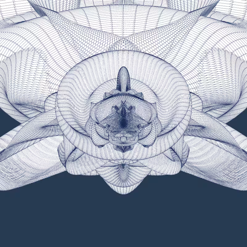 Zaratan #301