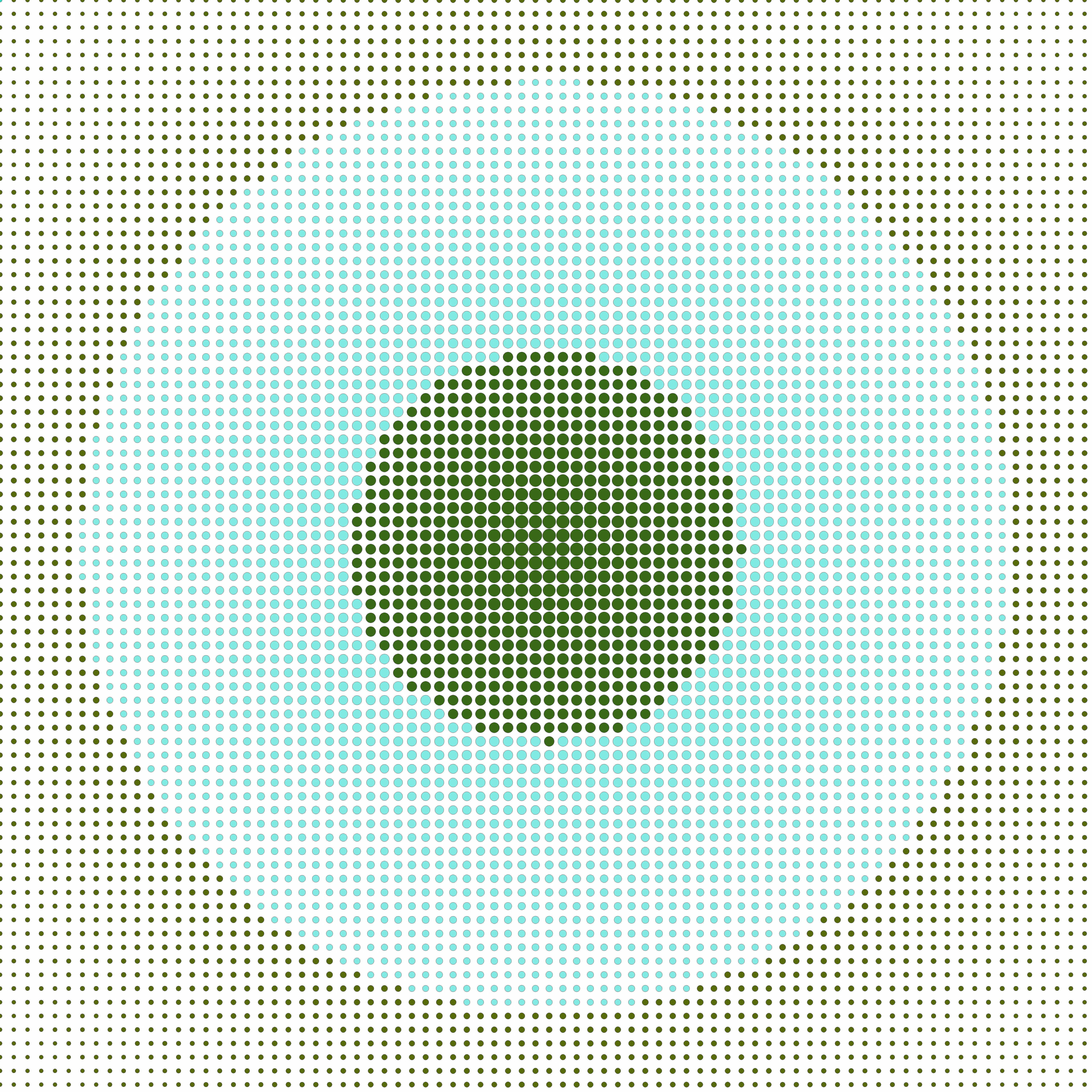 DI.004