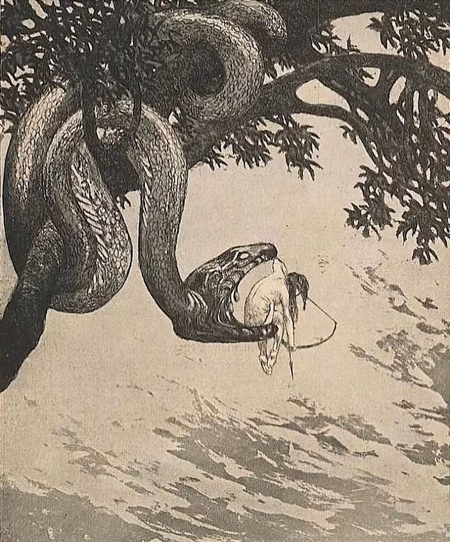 cursed garden part 1