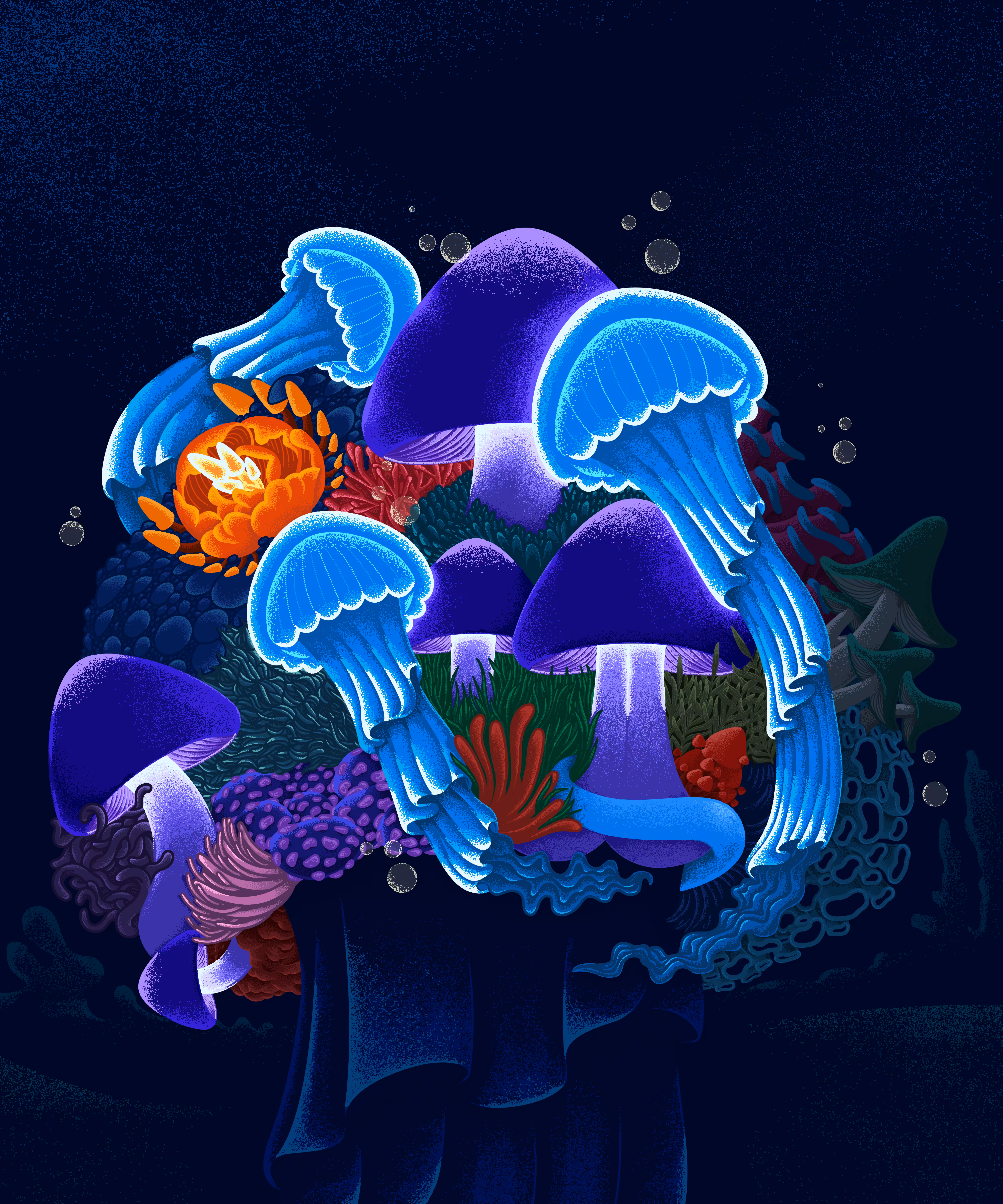 Camouflage | Underwater Series
