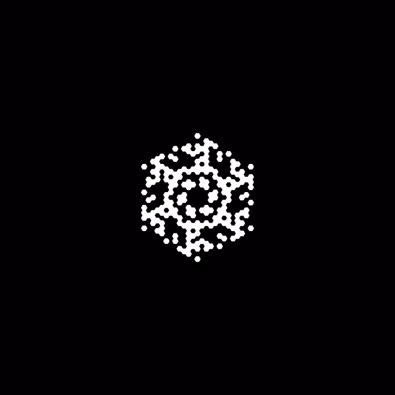 Snowflake #213