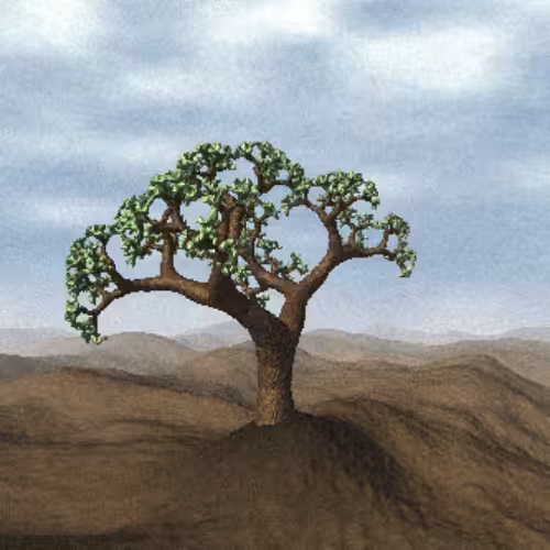 Lonely Tree #12
