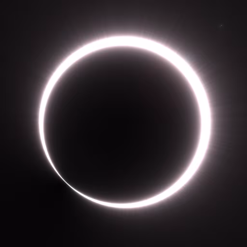 Totality #316