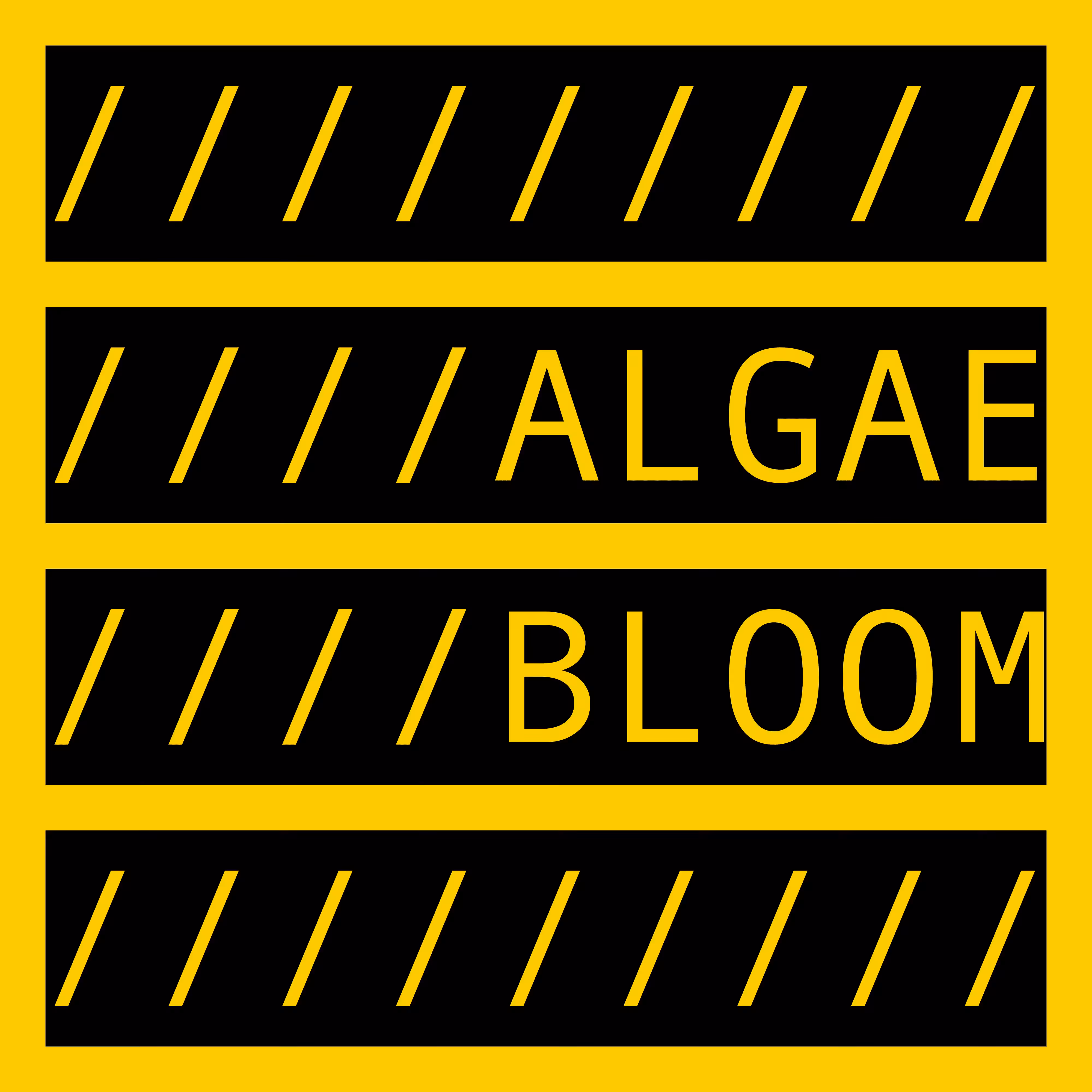 ALGAE BLOOM