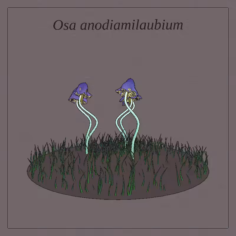 SHROOMS 3D #16