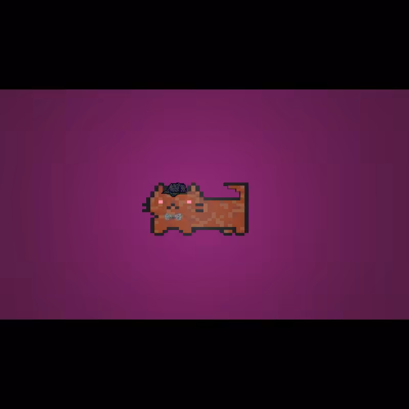 fx(cats) #6