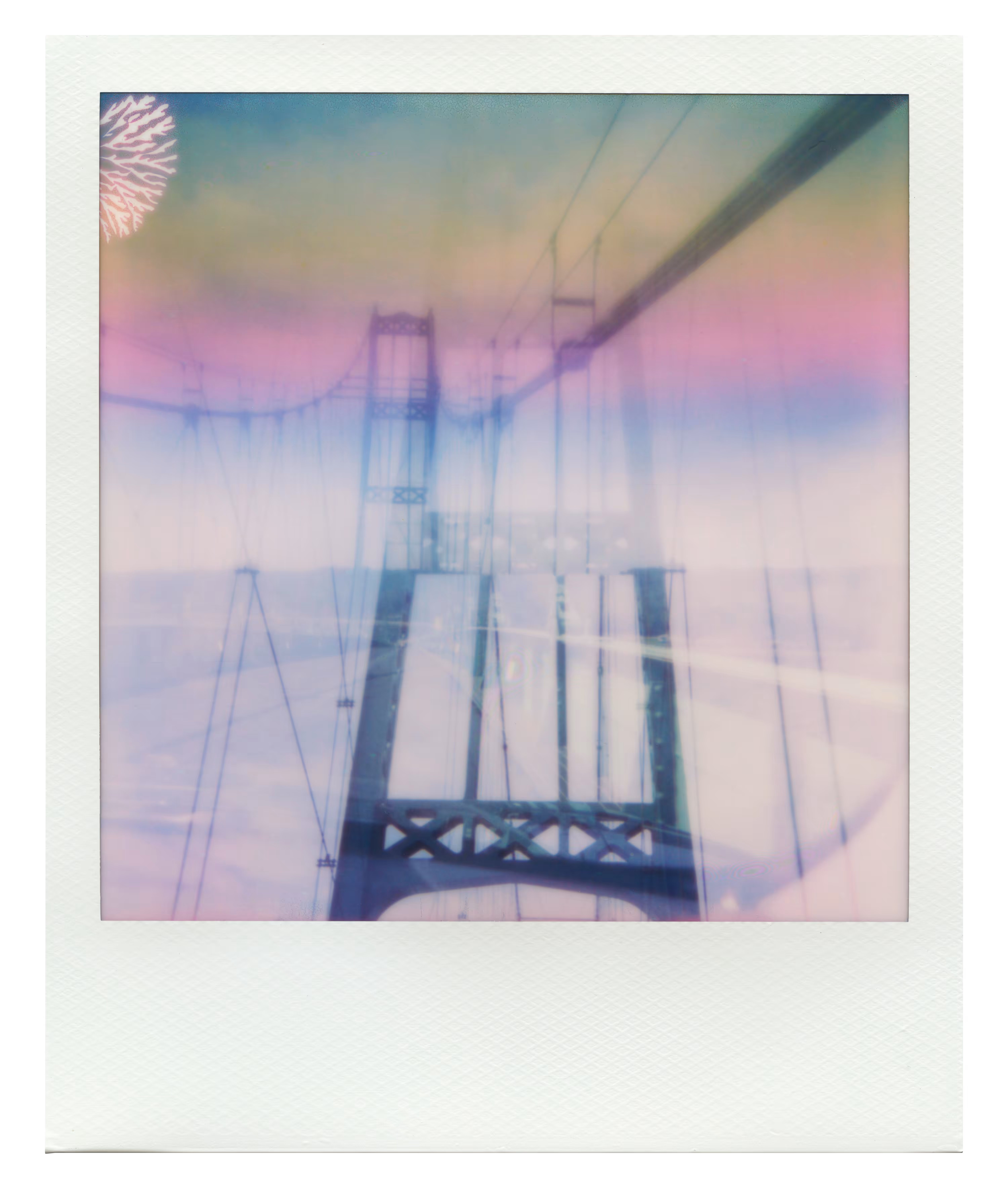Endless Summer  |  2  | Manifestation