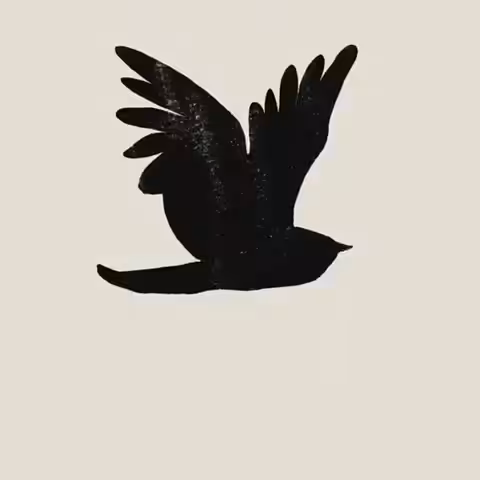 MOTION