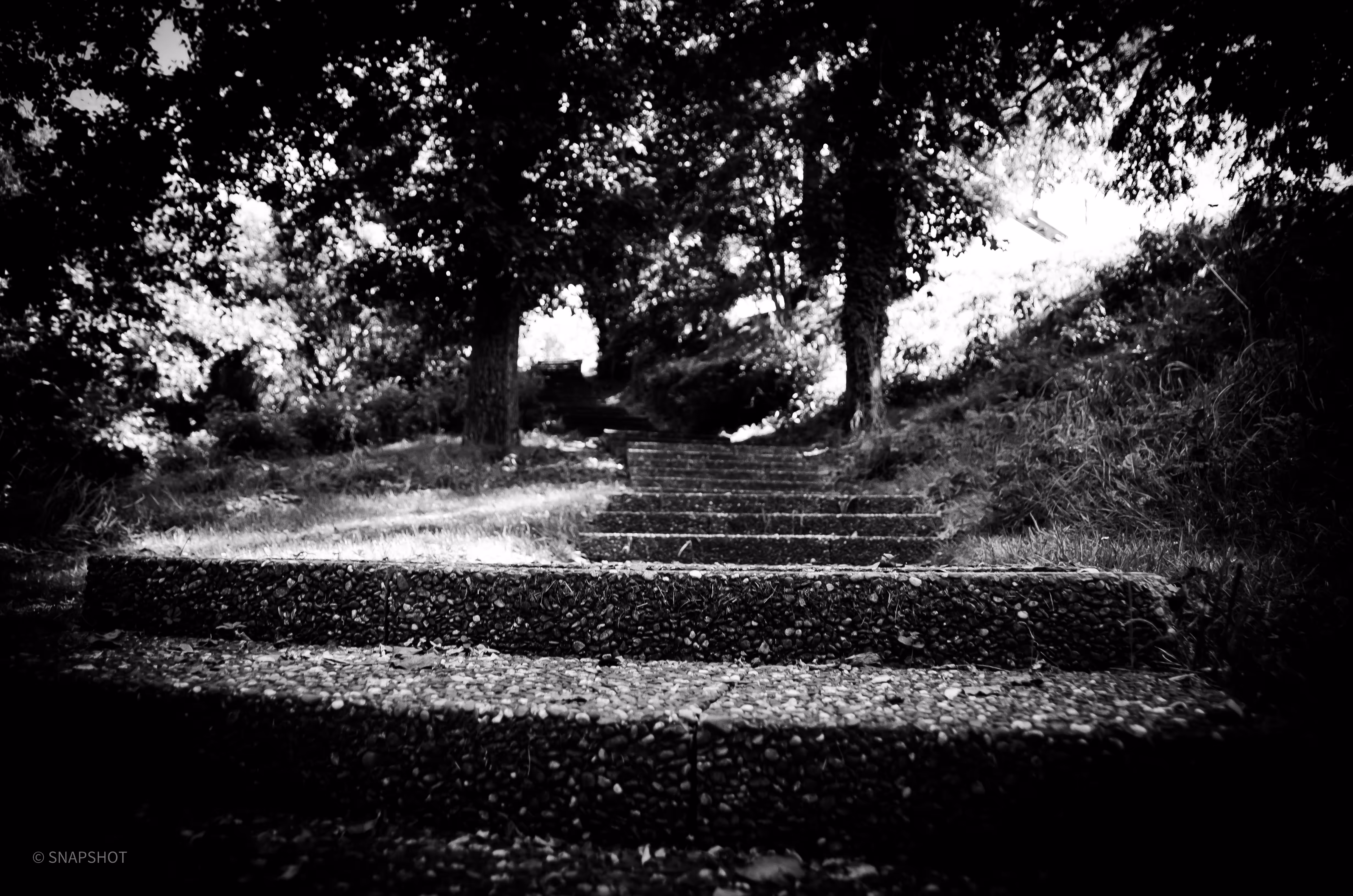 BALADE: Steps