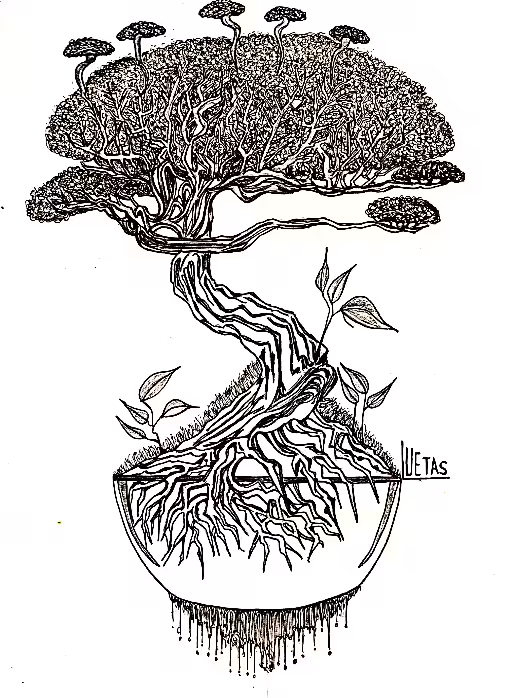 ROOTS OT TIME