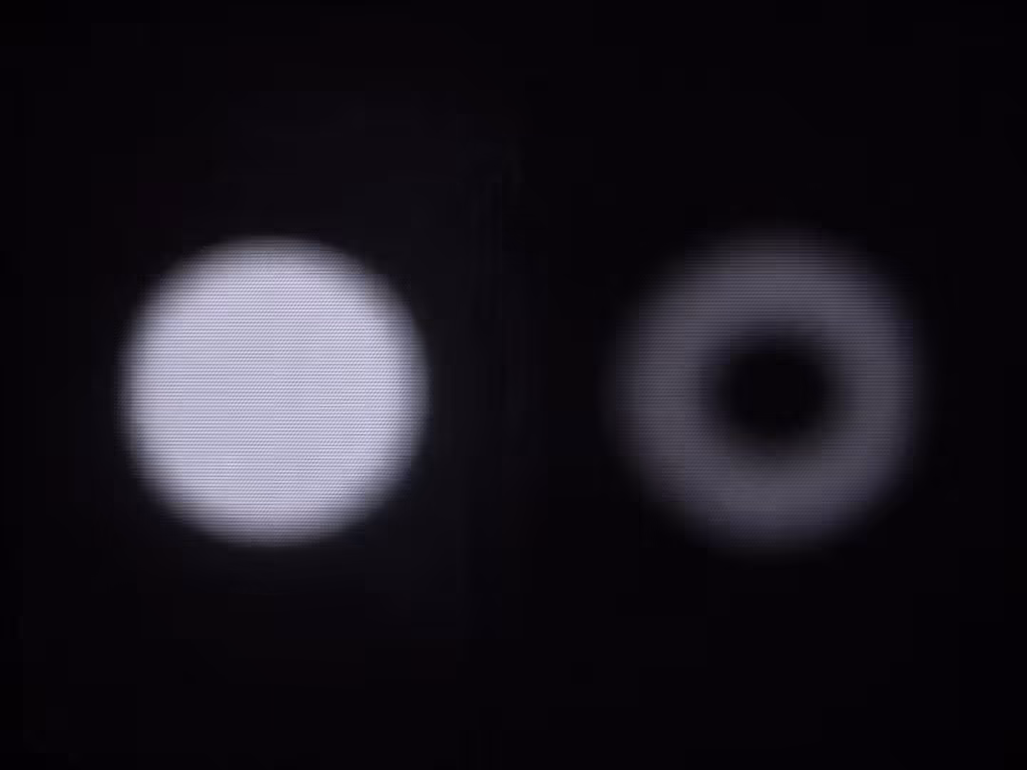 quantum annihilation
