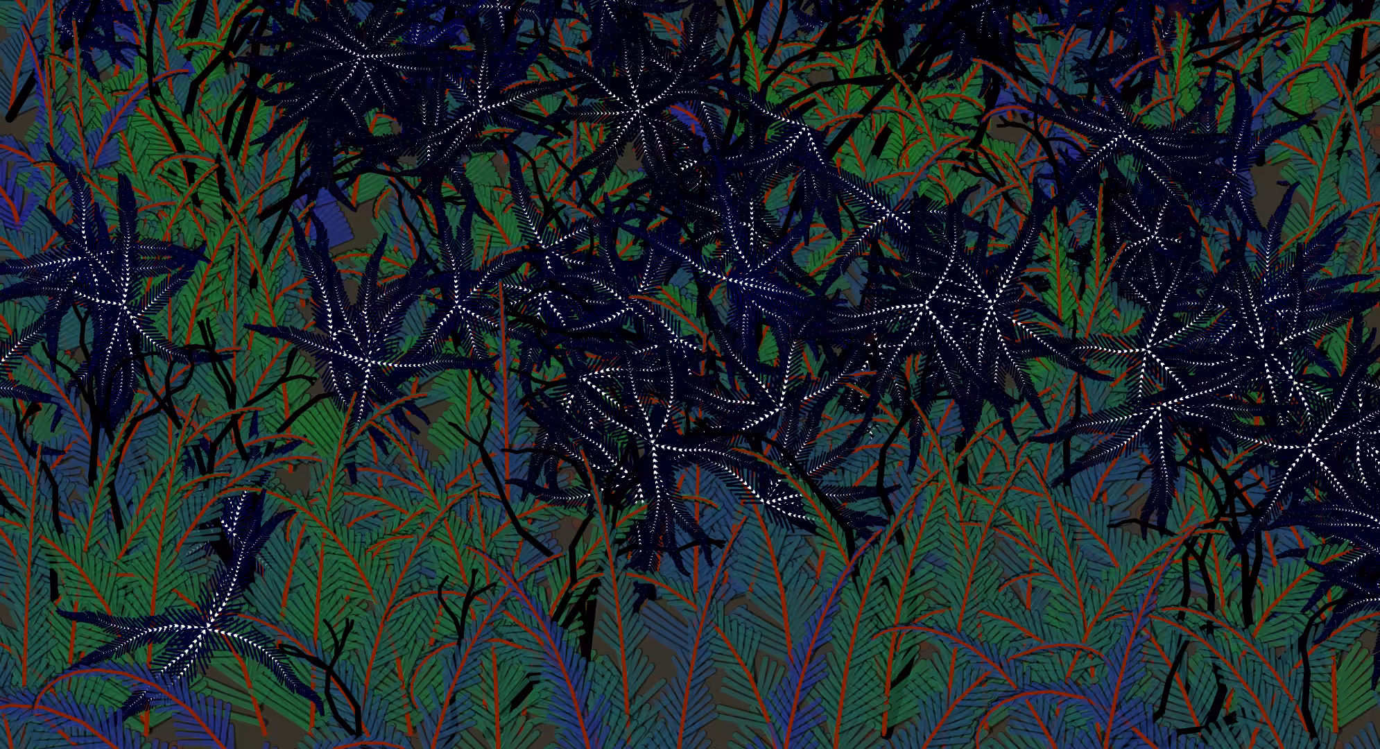 Fern Forest #3