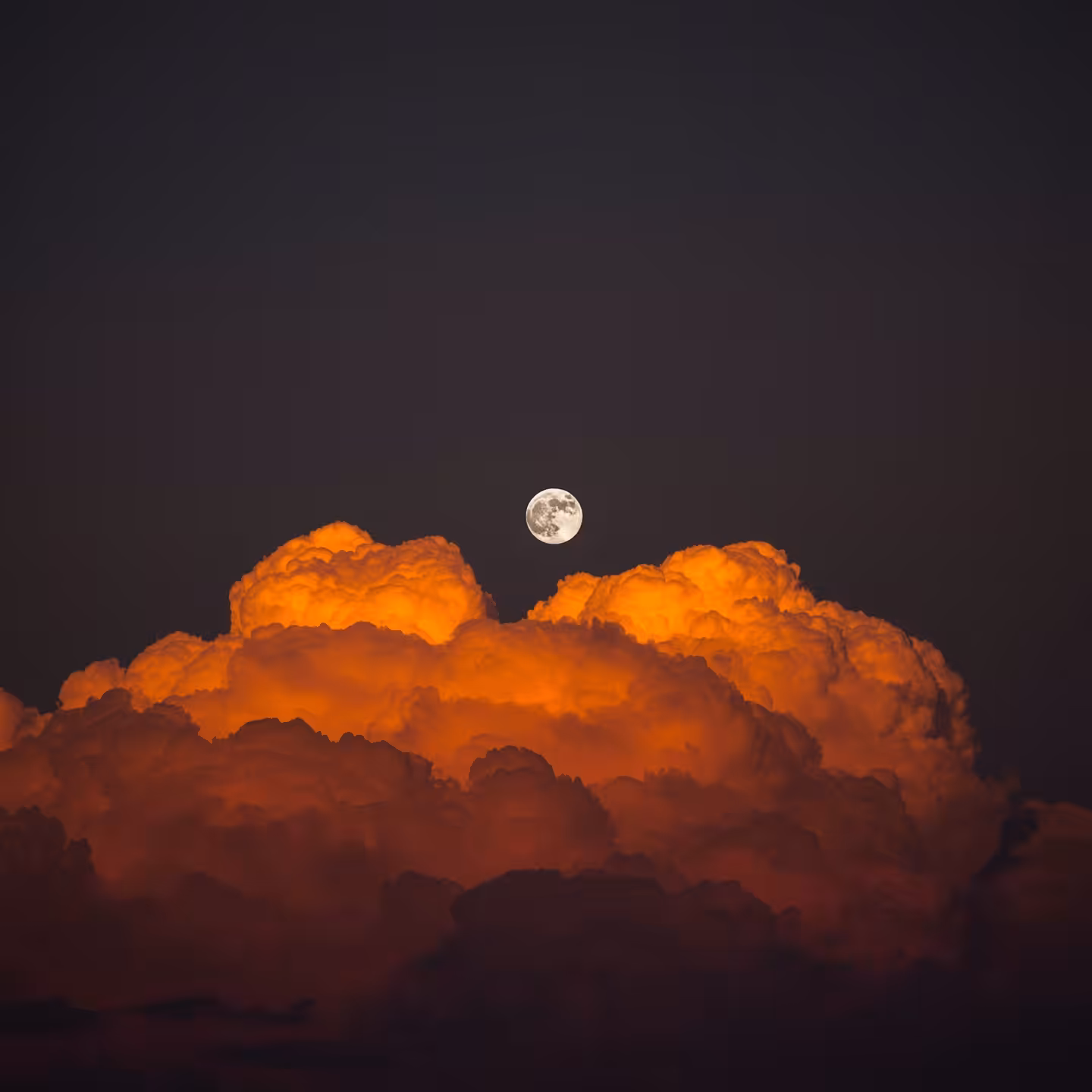 King Moon