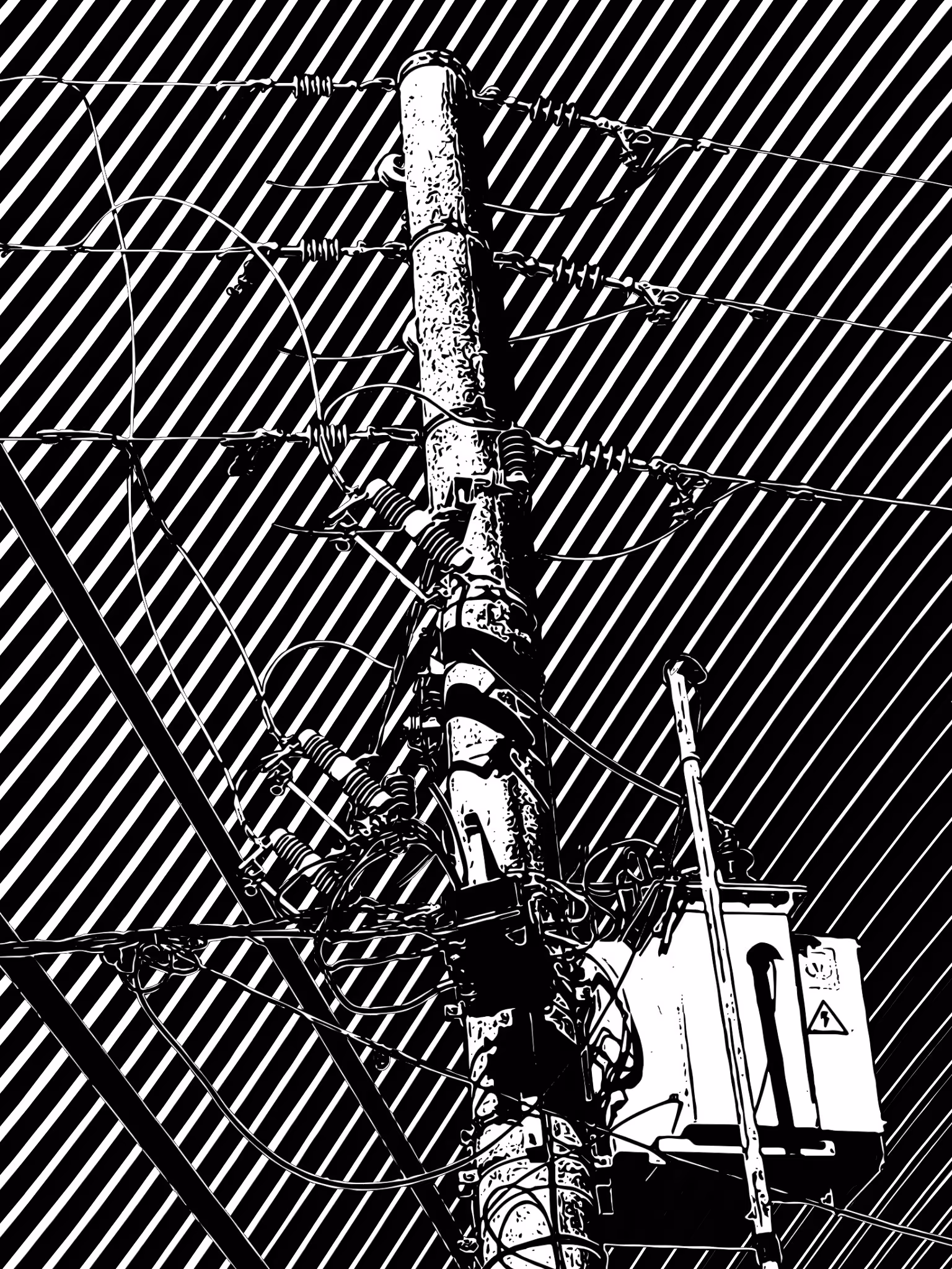 Cables V39