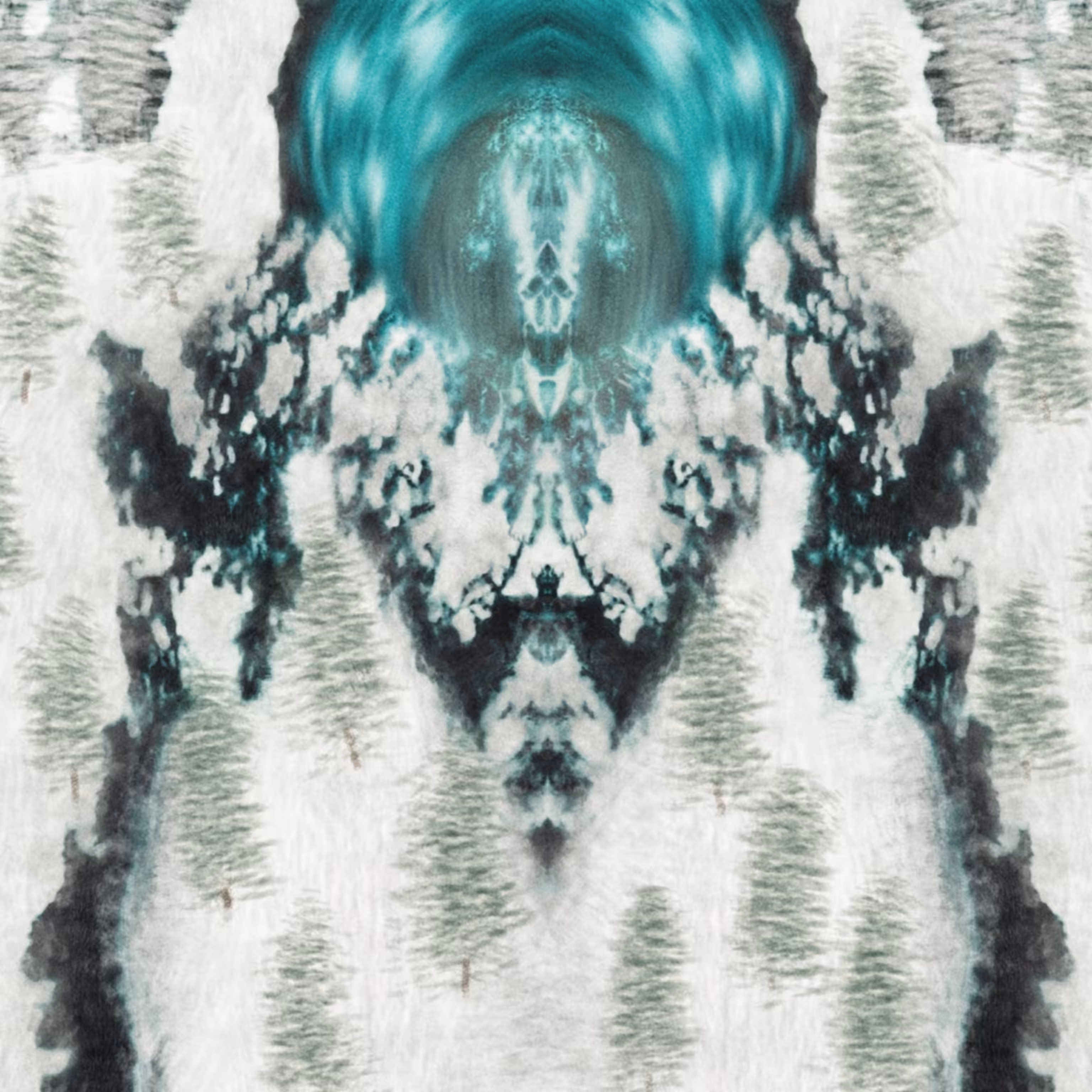 The Ice Coffin
