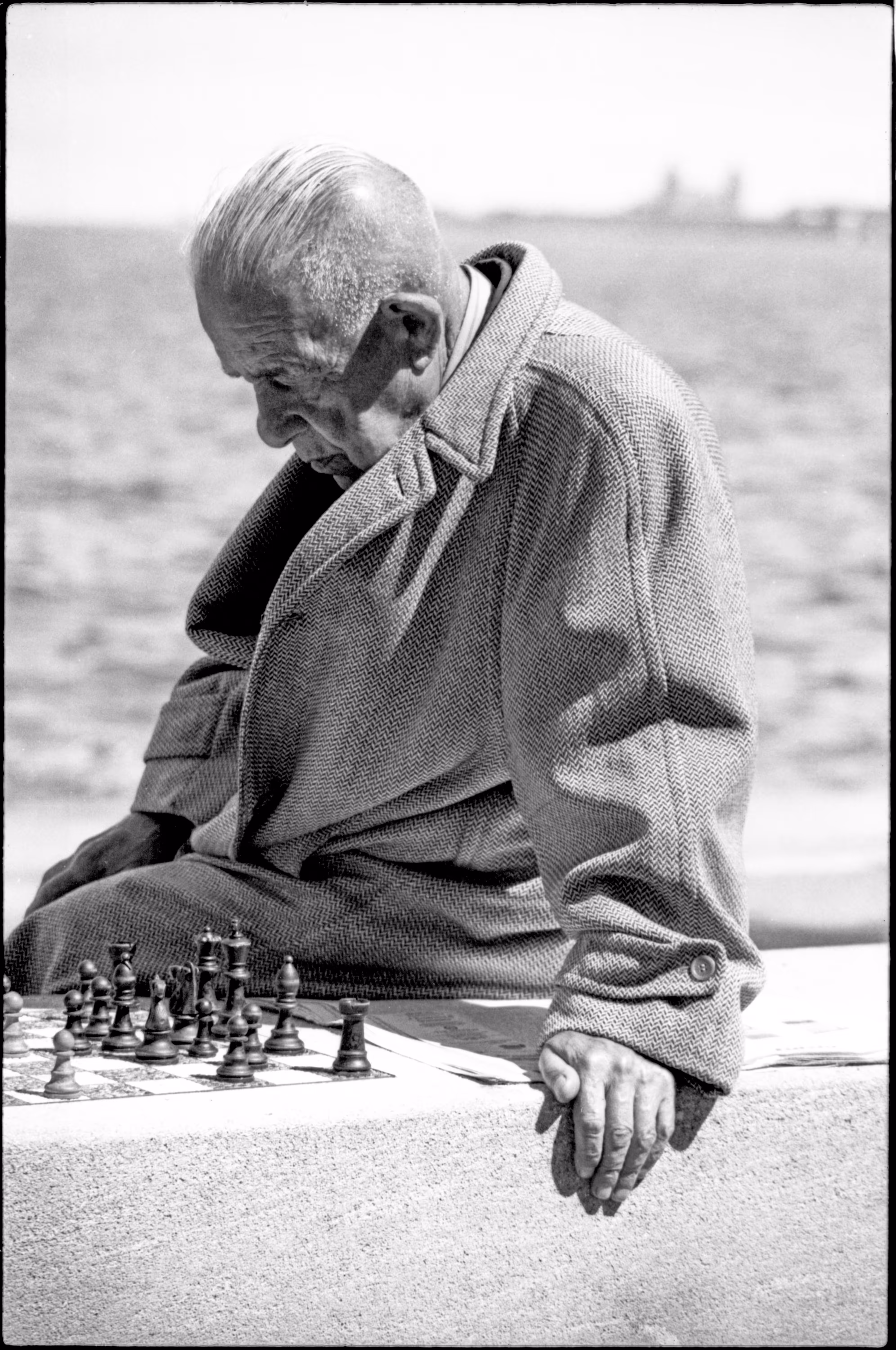 Particles and Waves: Chess Player