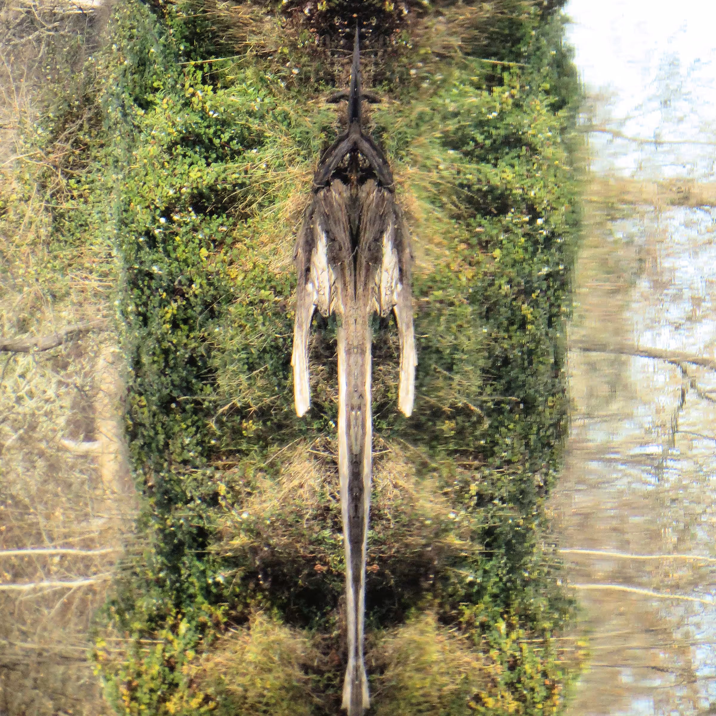 Reflection #2