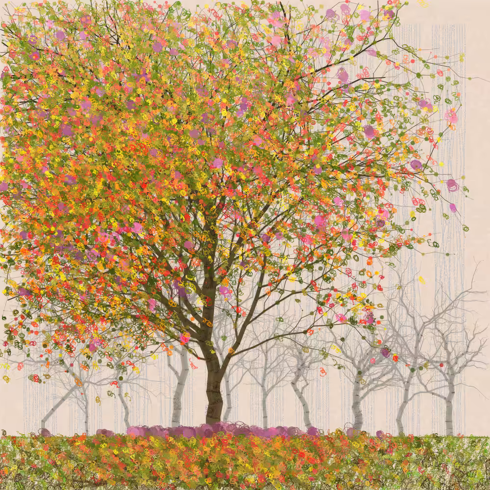 Orchard #316