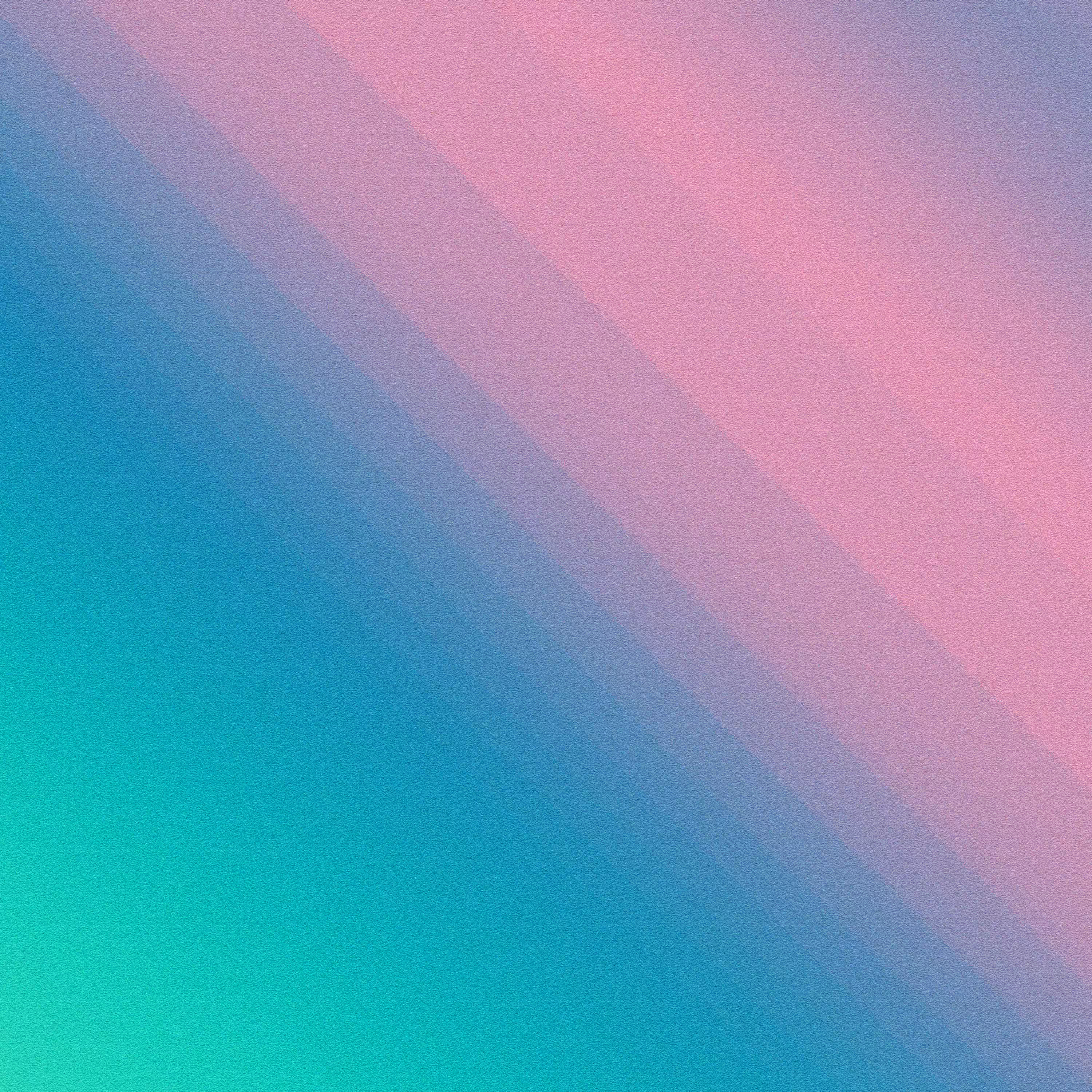 dec 19 2021