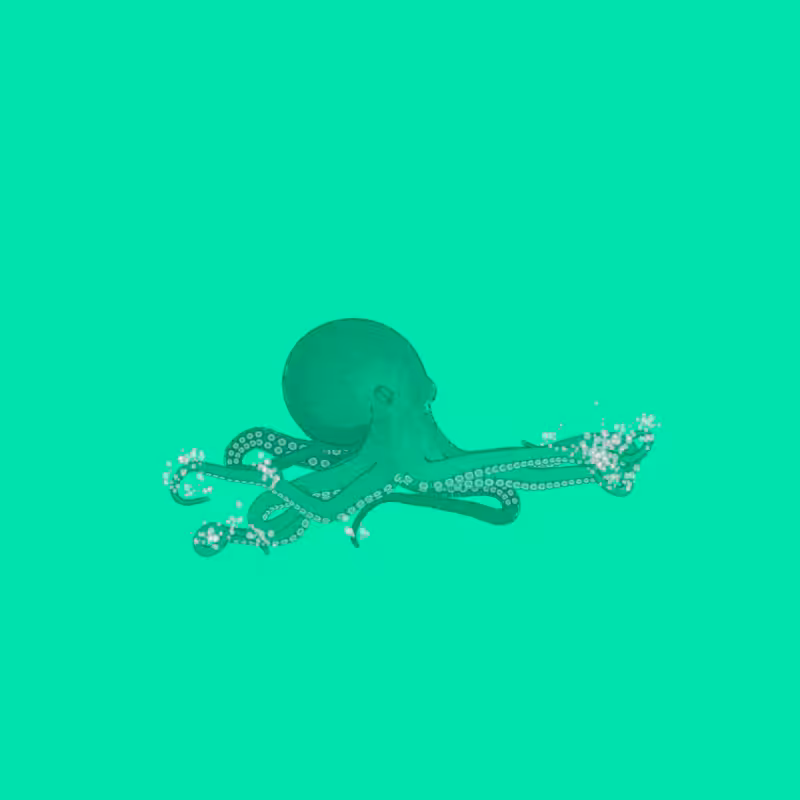 the generative octopuses #76