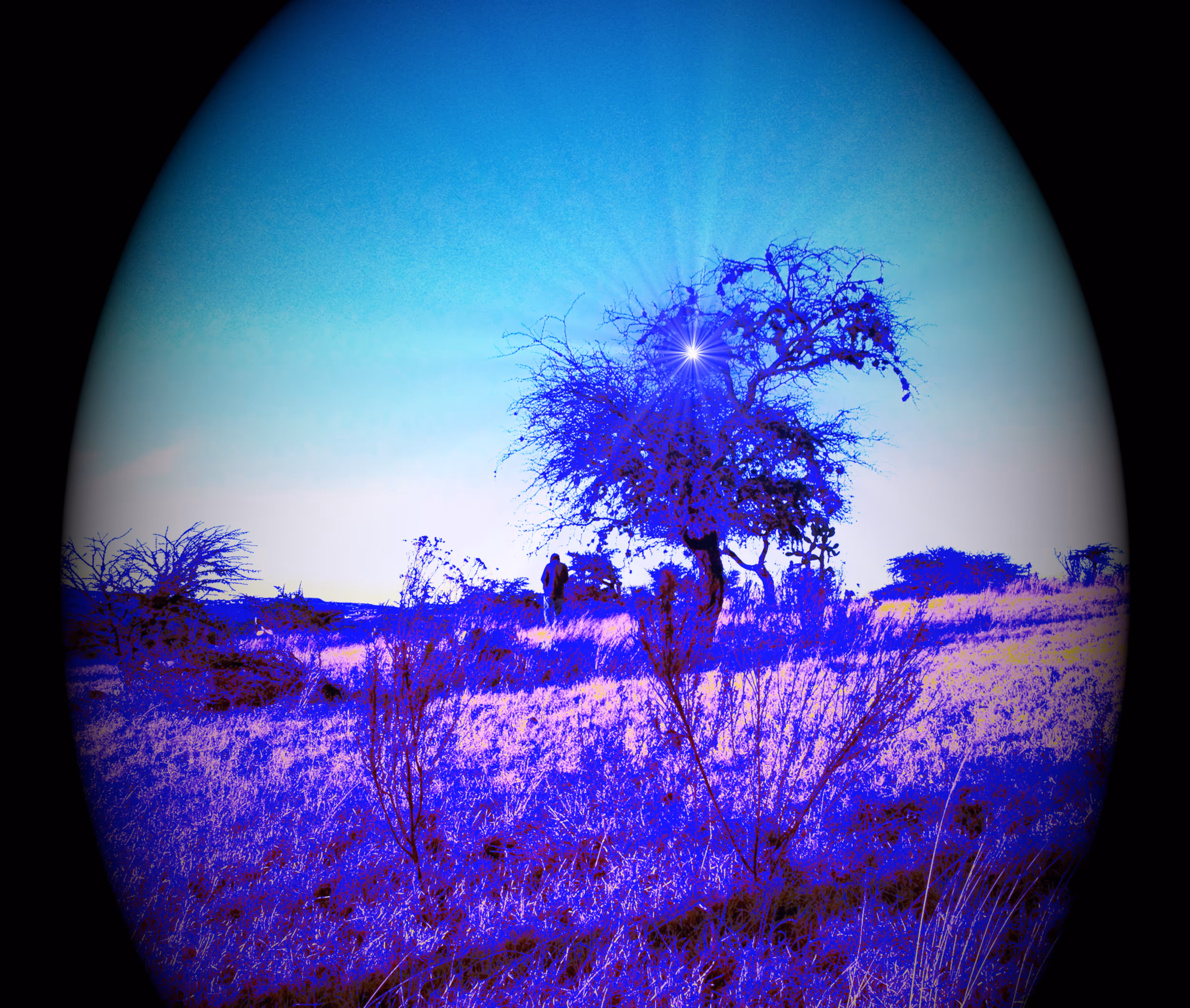 Fantasy