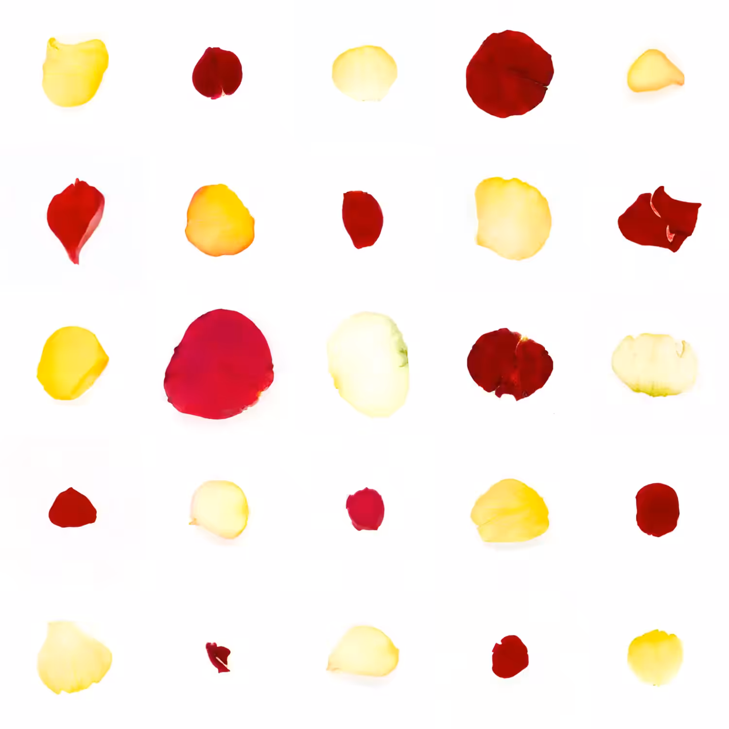 Infinite Petals 5x5#20041