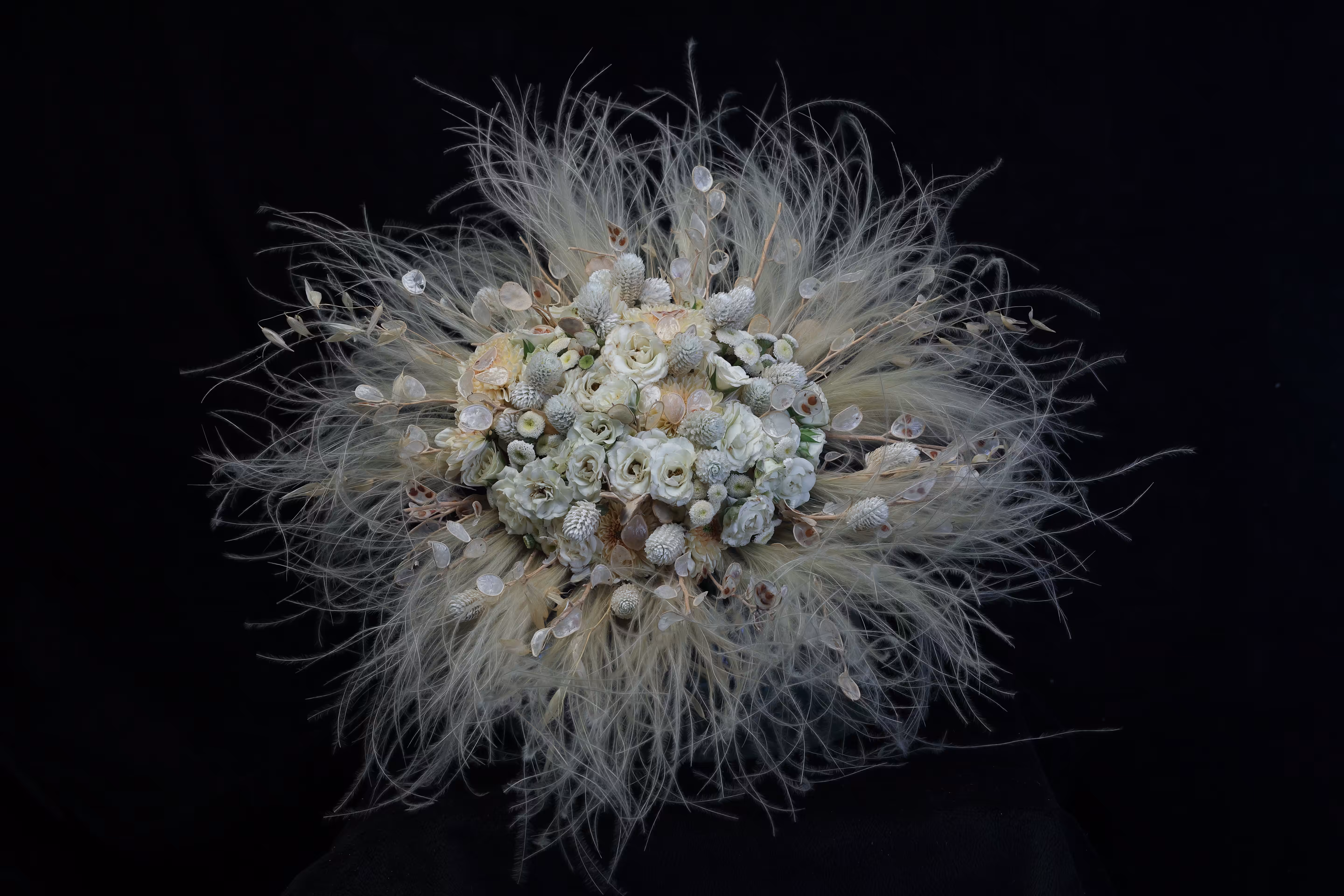 "Stypha Radiation"