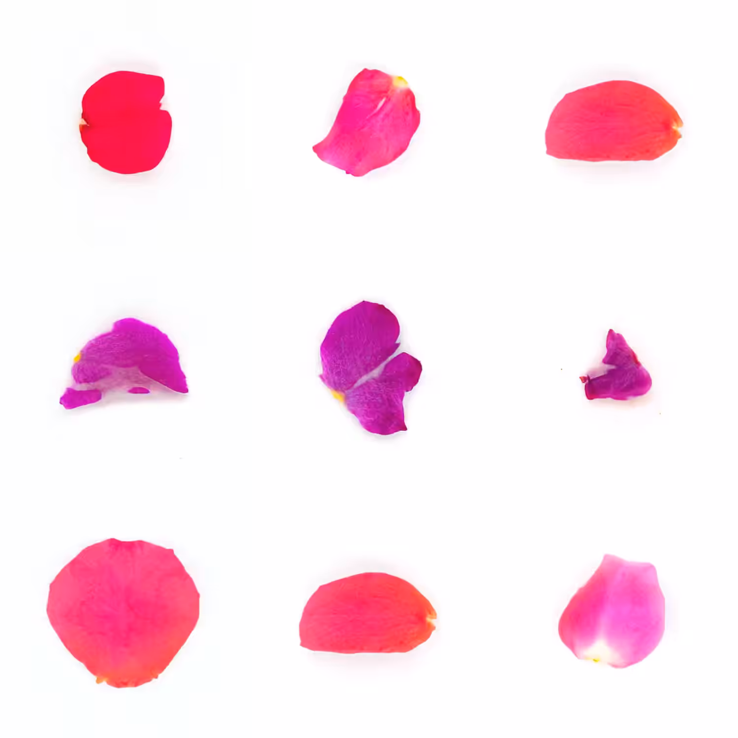 Infinite Petals 3x3#3935