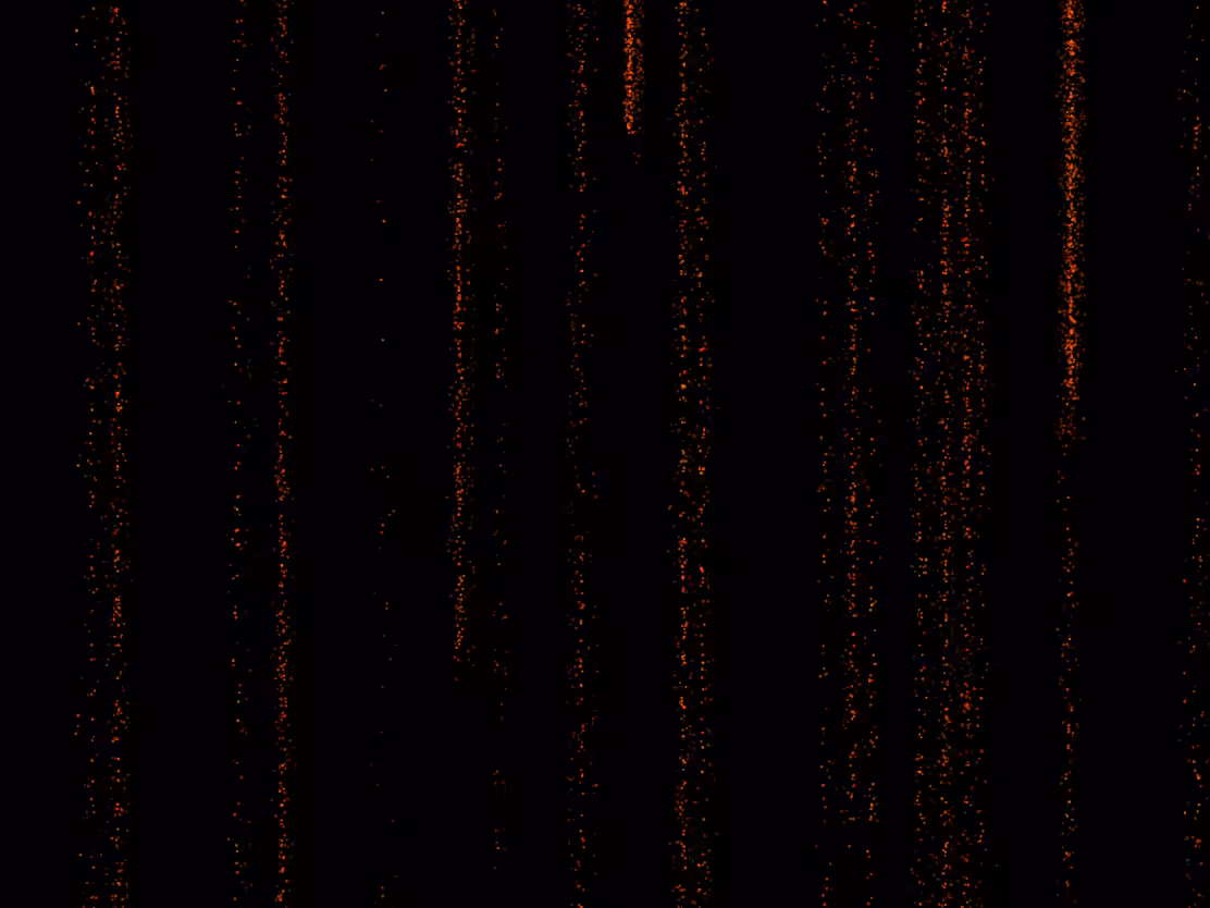 barcodes #17