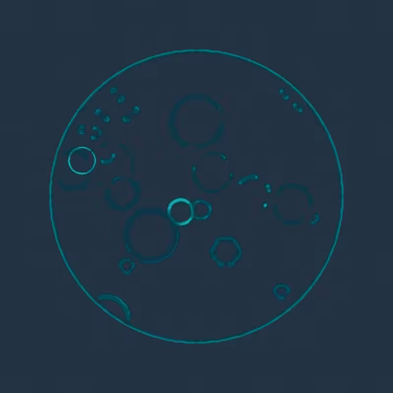 Cheap Petri Dish #48